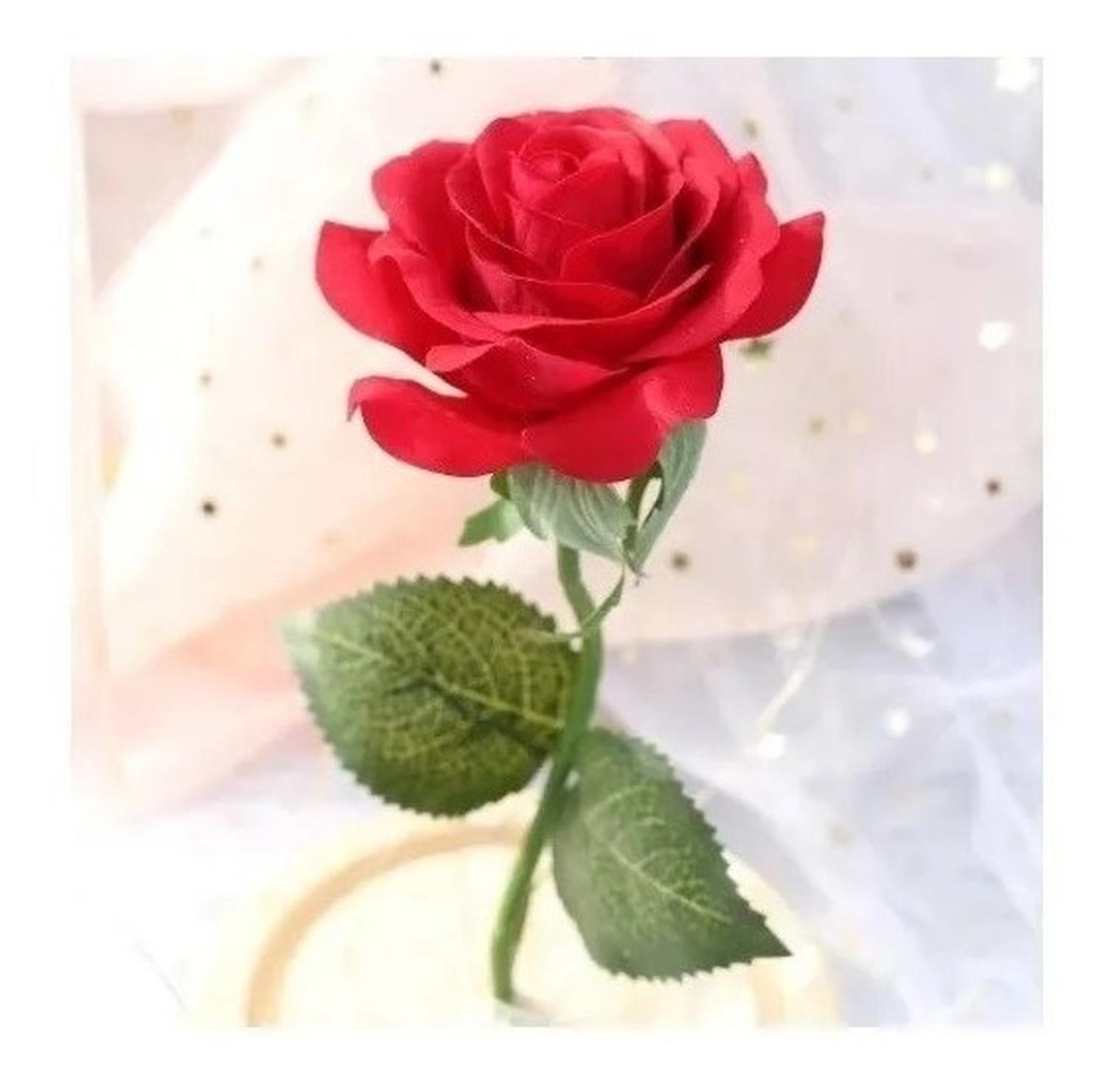 2 Rosas Eternas Rosa Eterna Rosa Preservada Led San Valentin Pack X2 Rosa Eterna Roja De Madera-5