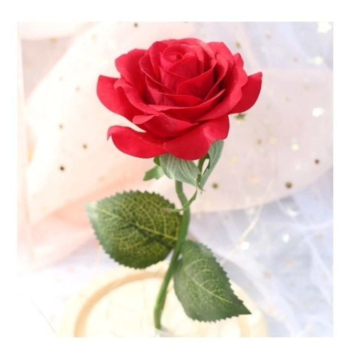 Rosa Eterna Rosas Eternas Rosa Preservada Led San Valentin Rojo Rosa Roja De Madera- Led-6