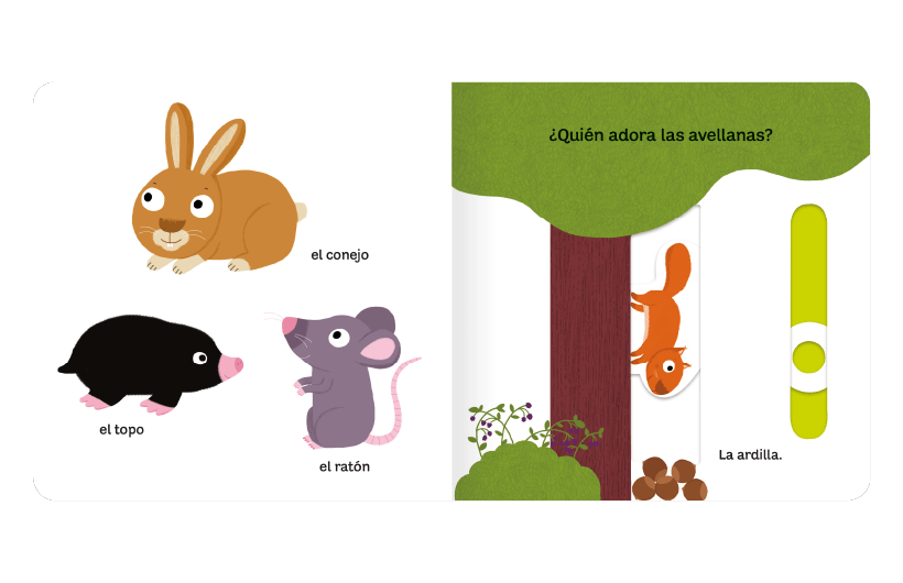 Pequeños Curiosos -  Mi Libro De Los Insectos-2