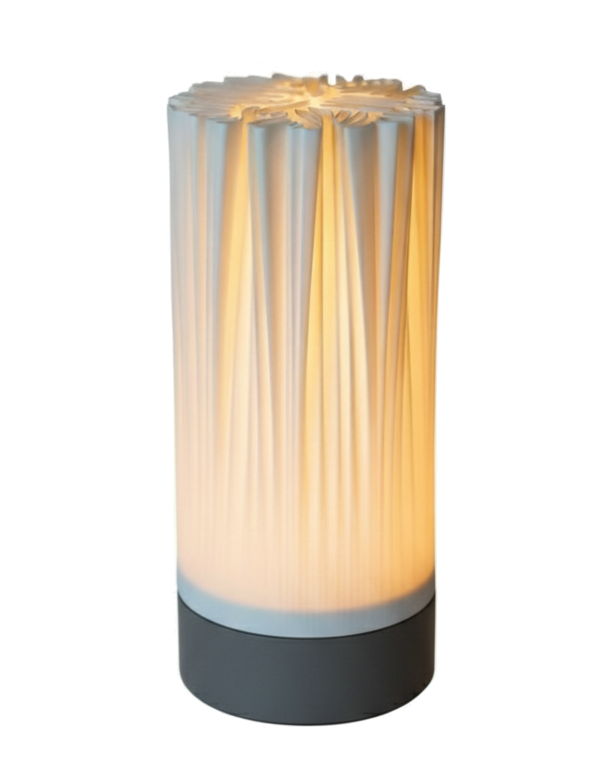 Lampara De Mesa Led Usb 20 Cm Diseno Organico Minimalista-2