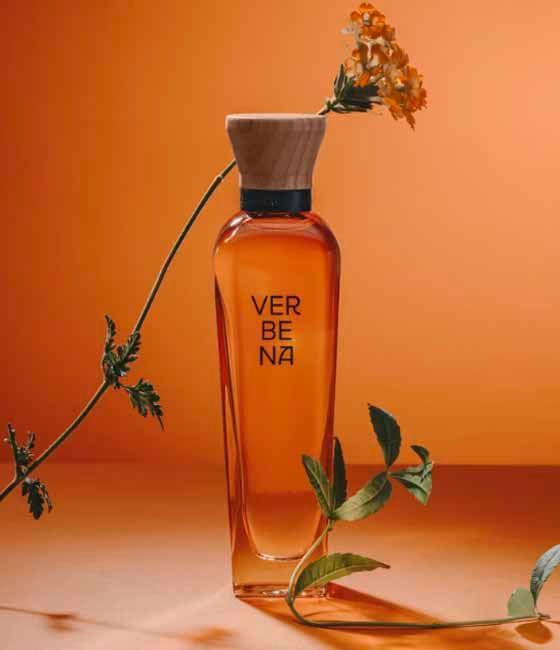 Adolfo Dominguez Verbena 120ML EDT Mujer-2