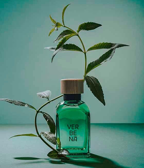 Adolfo Dominguez Verbena 120ML EDT Hombre-2