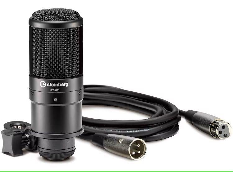 PACK RECORDING DE INTERFAZ DE AUDIO STEINBERG UR22 MKII-3