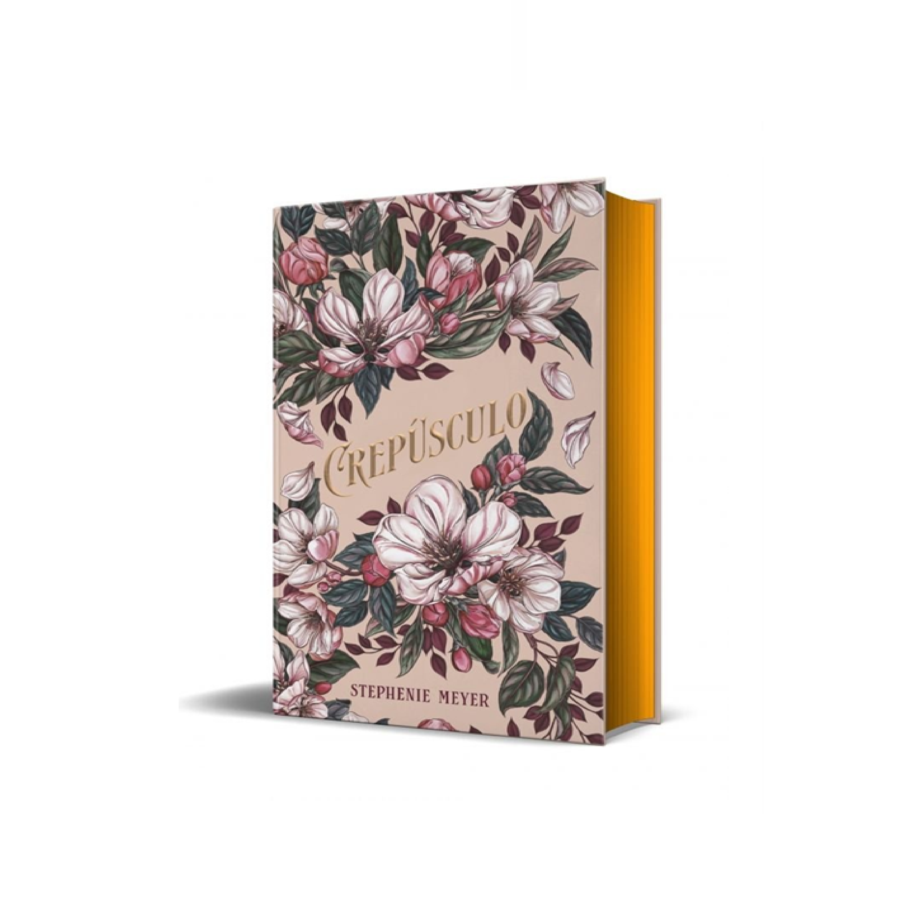 CREPUSCULO EDICION LIMITADA BELLA Y EDWARD ESPECIAL 20 ANIVERSARIO-0