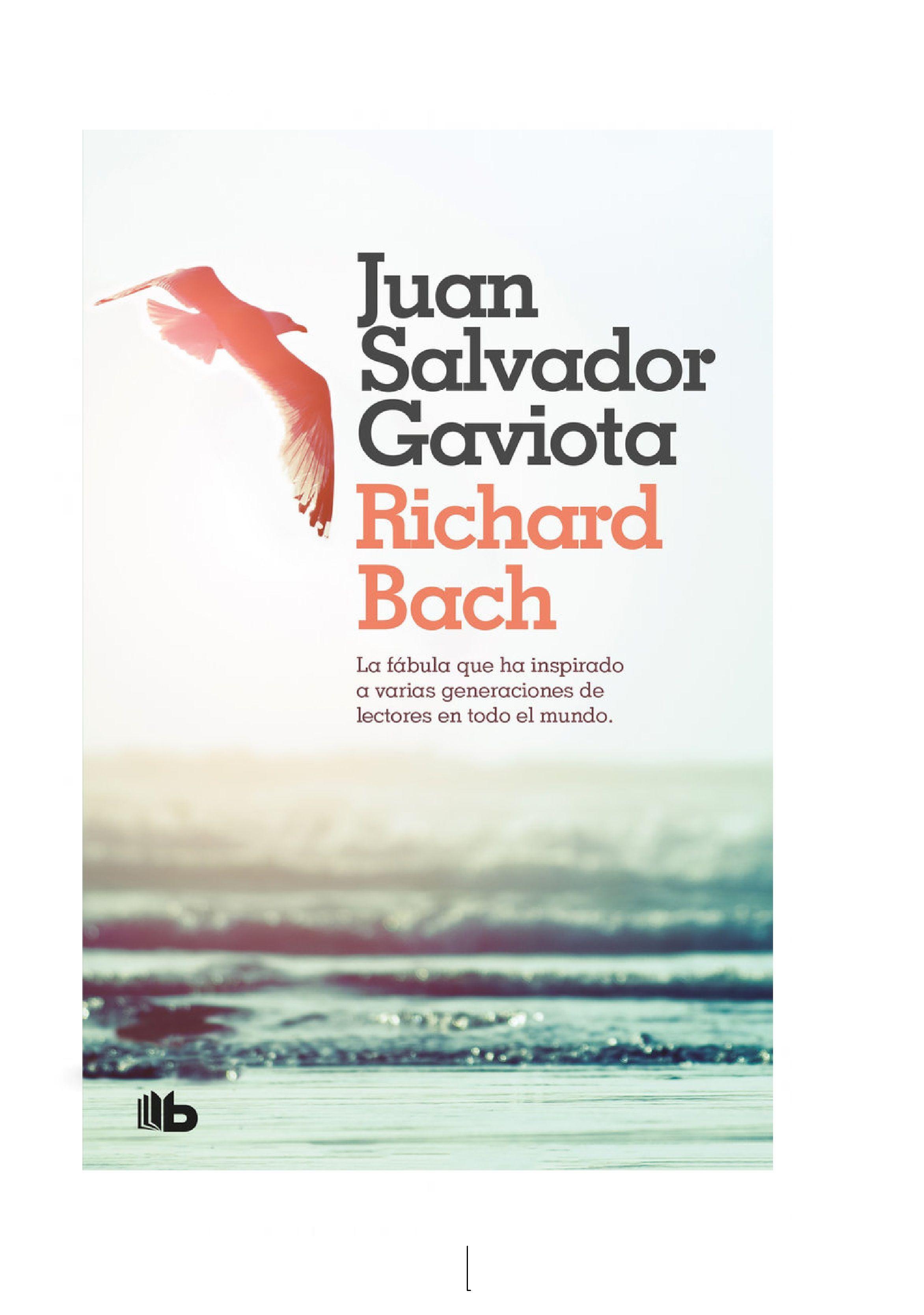 JUAN SALVADOR GAVIOTA-0