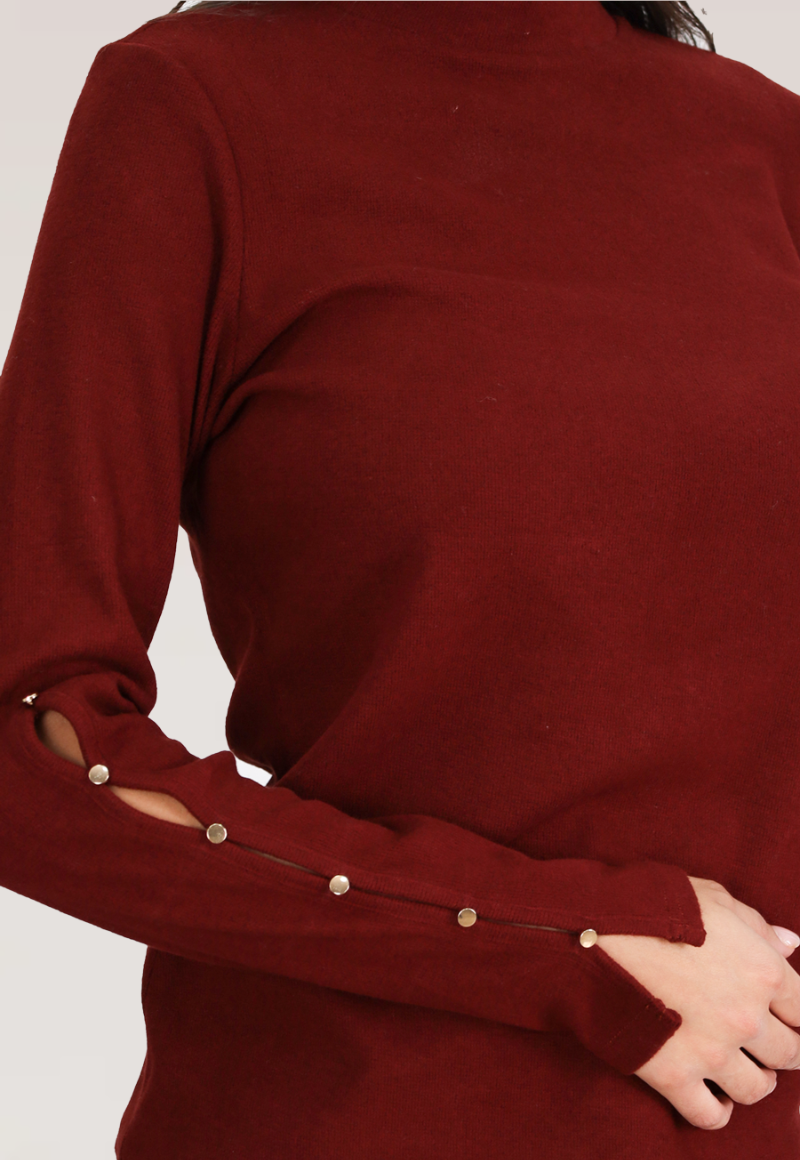 TOP BOTON MANGA BUDEO TENTATION-2