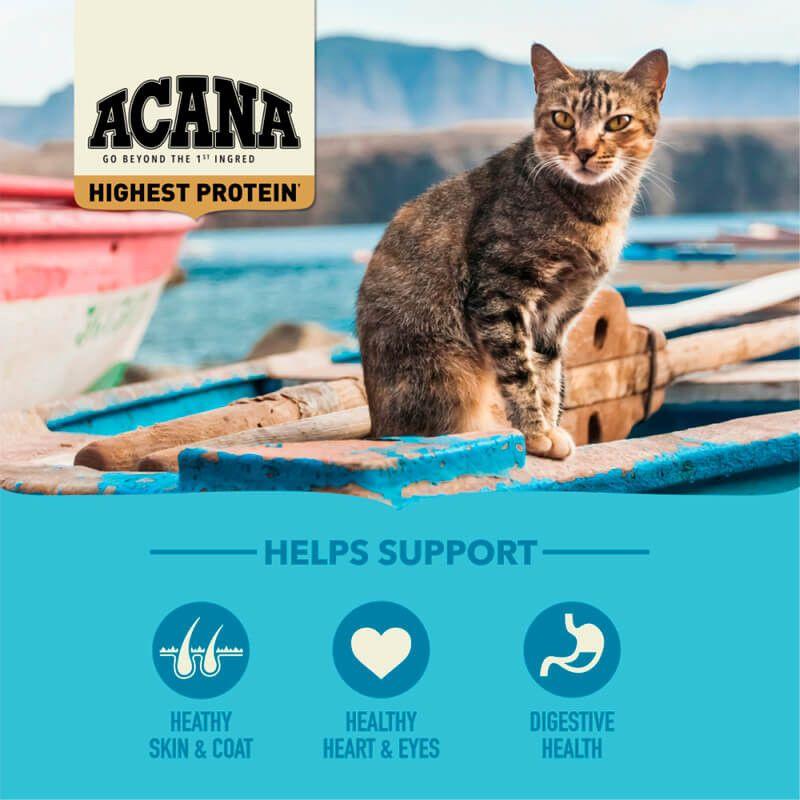 Acana Wild Atlantic Gatos 4,5 kg-2