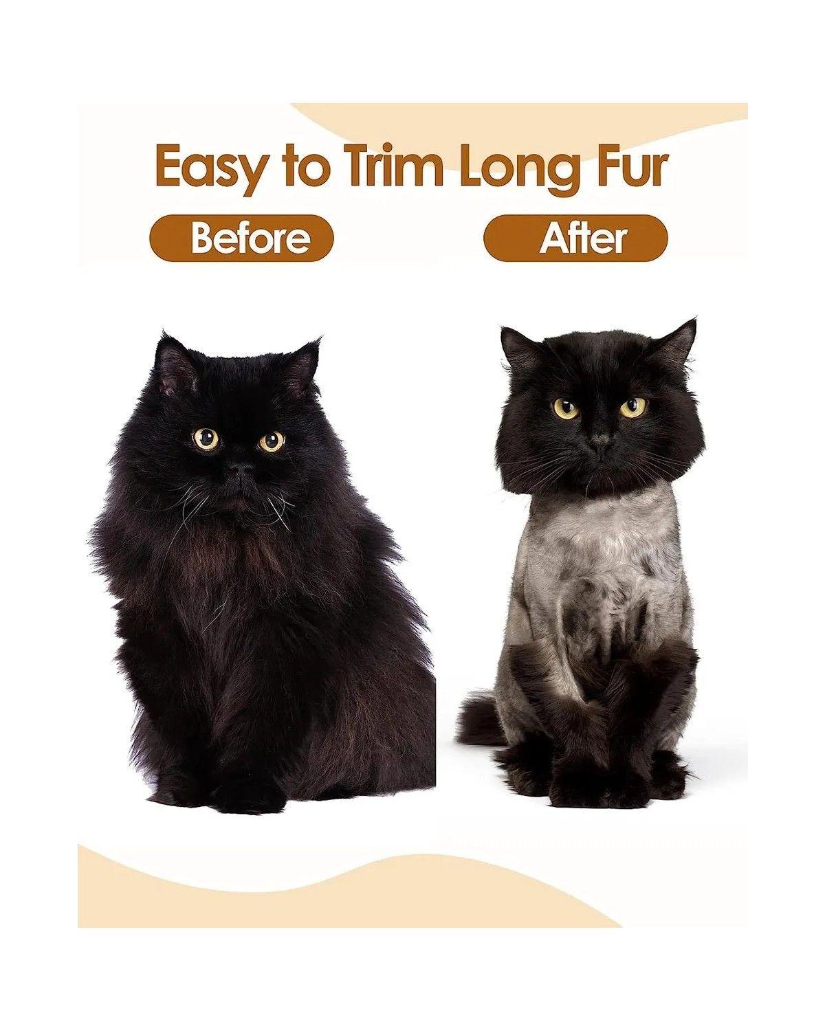 Máquina Afeitar Cortapelo Perro y Mascotas Y Cuidado-2