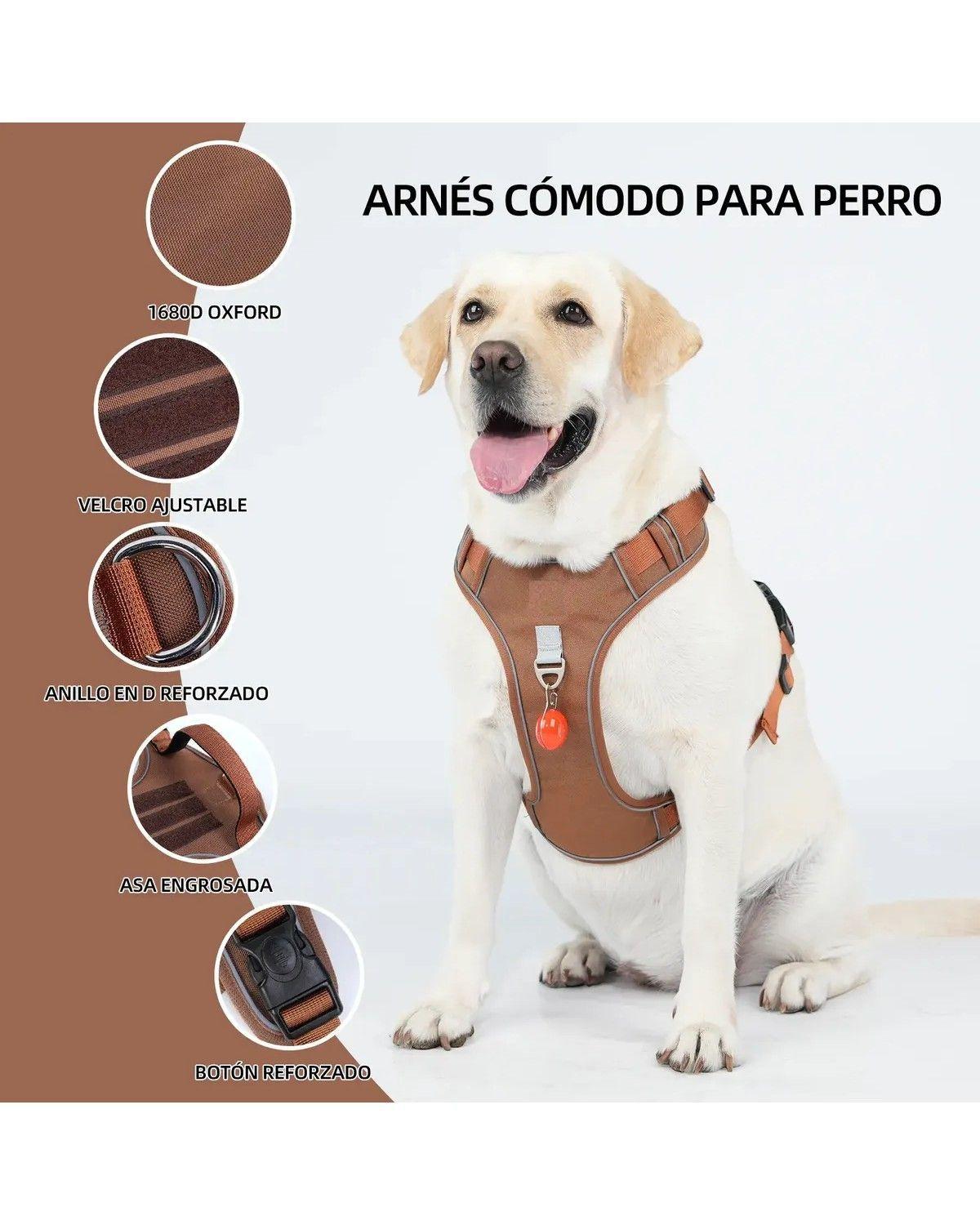Arnés Pechera Reflectante Para Perros Con Correa-2