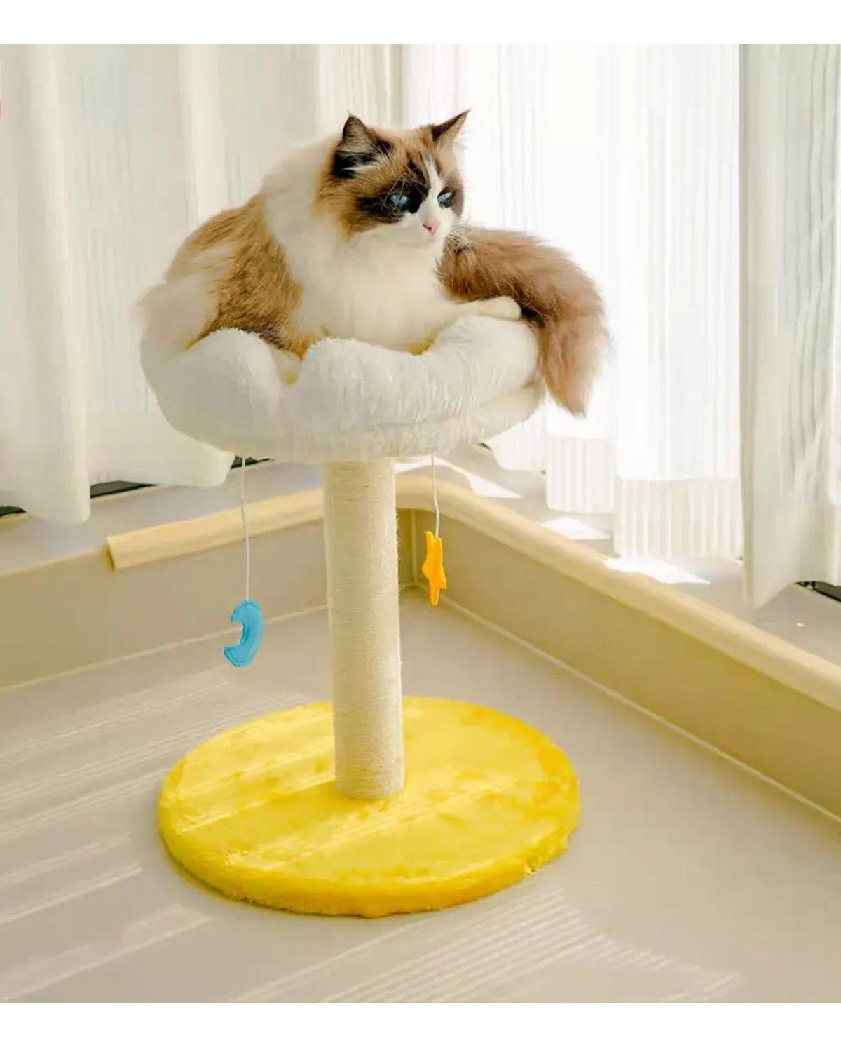 Rascador Para Gatos Poste Yute Con Cama Nube Minitorre Michi-2