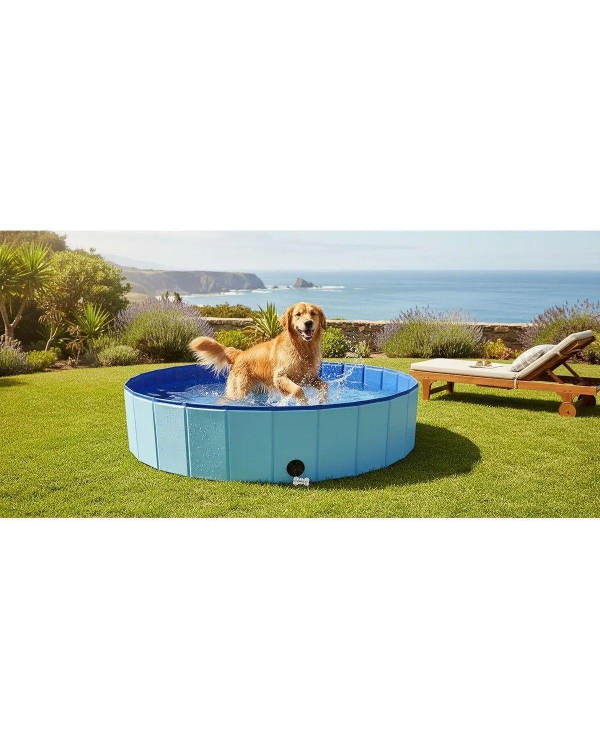 Piscina Para Perros Plegable Verano Mascotas 160x30 -3