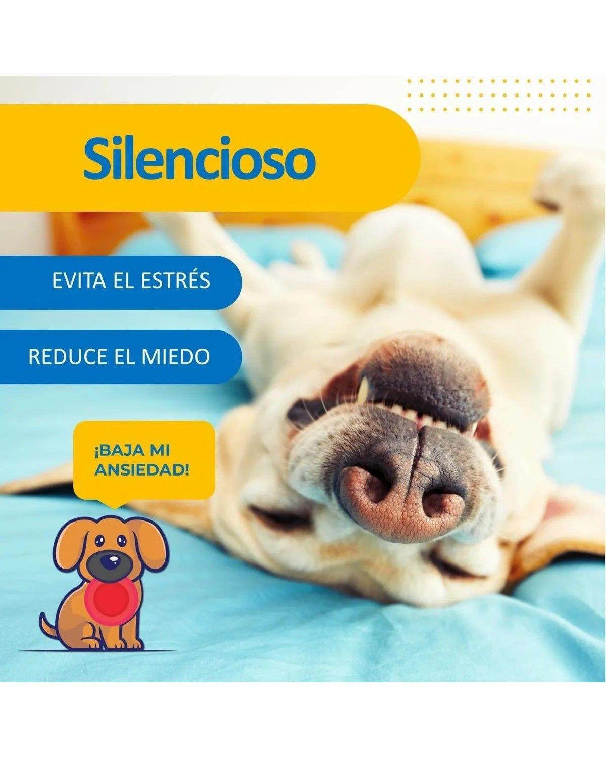 Maquina Corta Pelo Mascotas Perro Gato Kit Completo-1