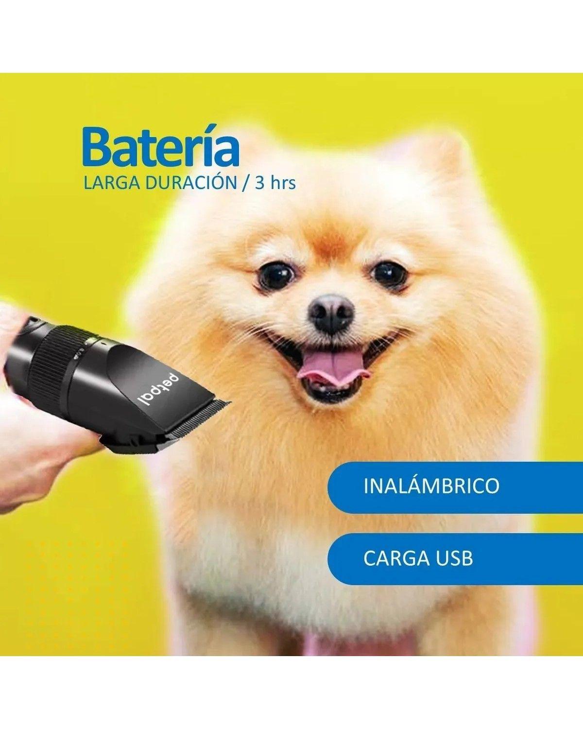 Maquina Corta Pelo Mascotas Perro Gato Kit Completo-3
