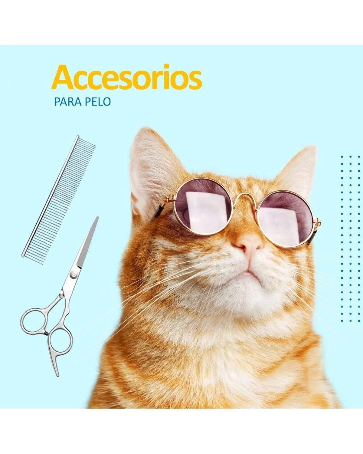 Maquina Corta Pelo Mascotas Perro Gato Kit Completo-4