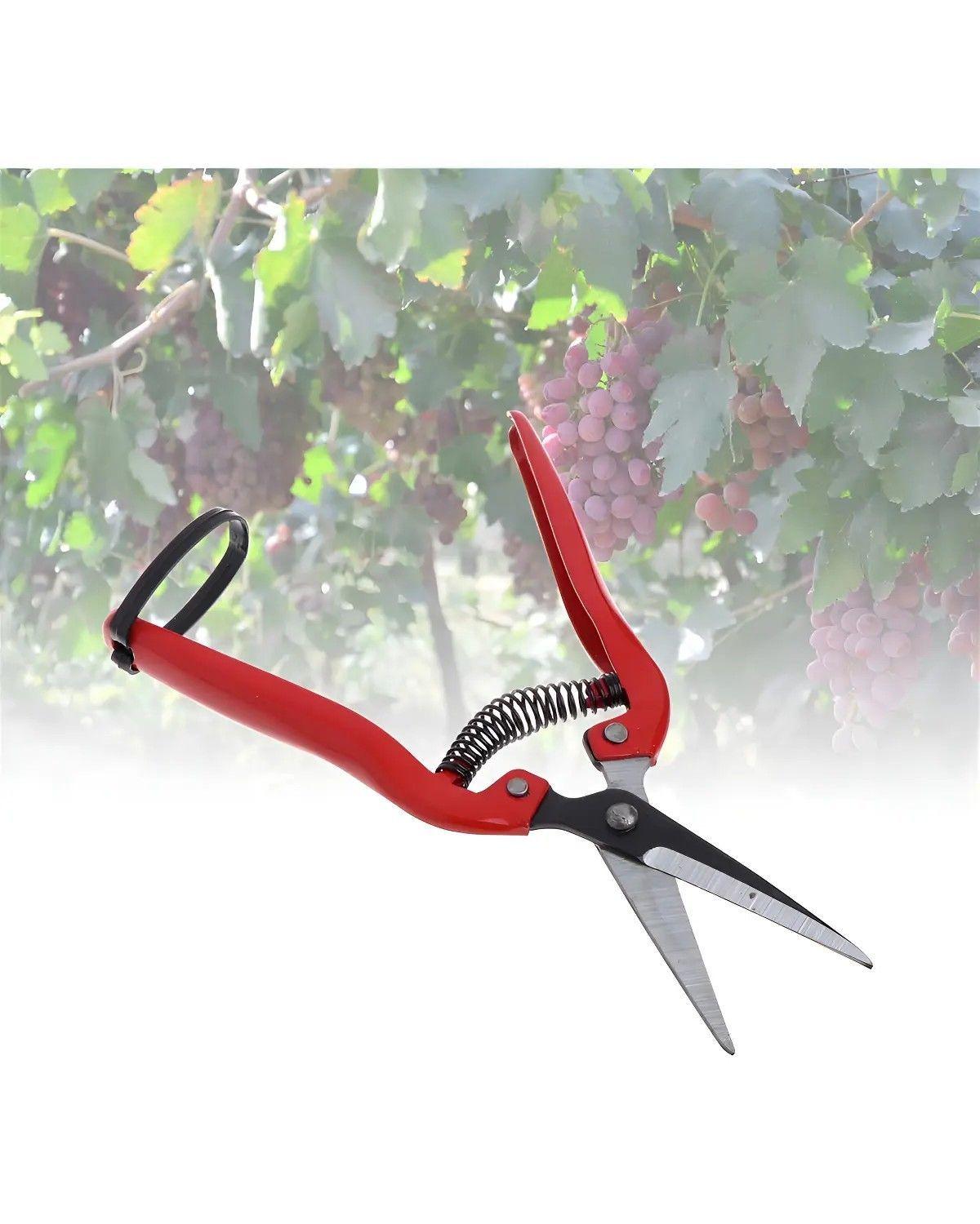Tijera Podar Frutas Manual Acero al Carbono Jardinería Roja 19.3 cm-2