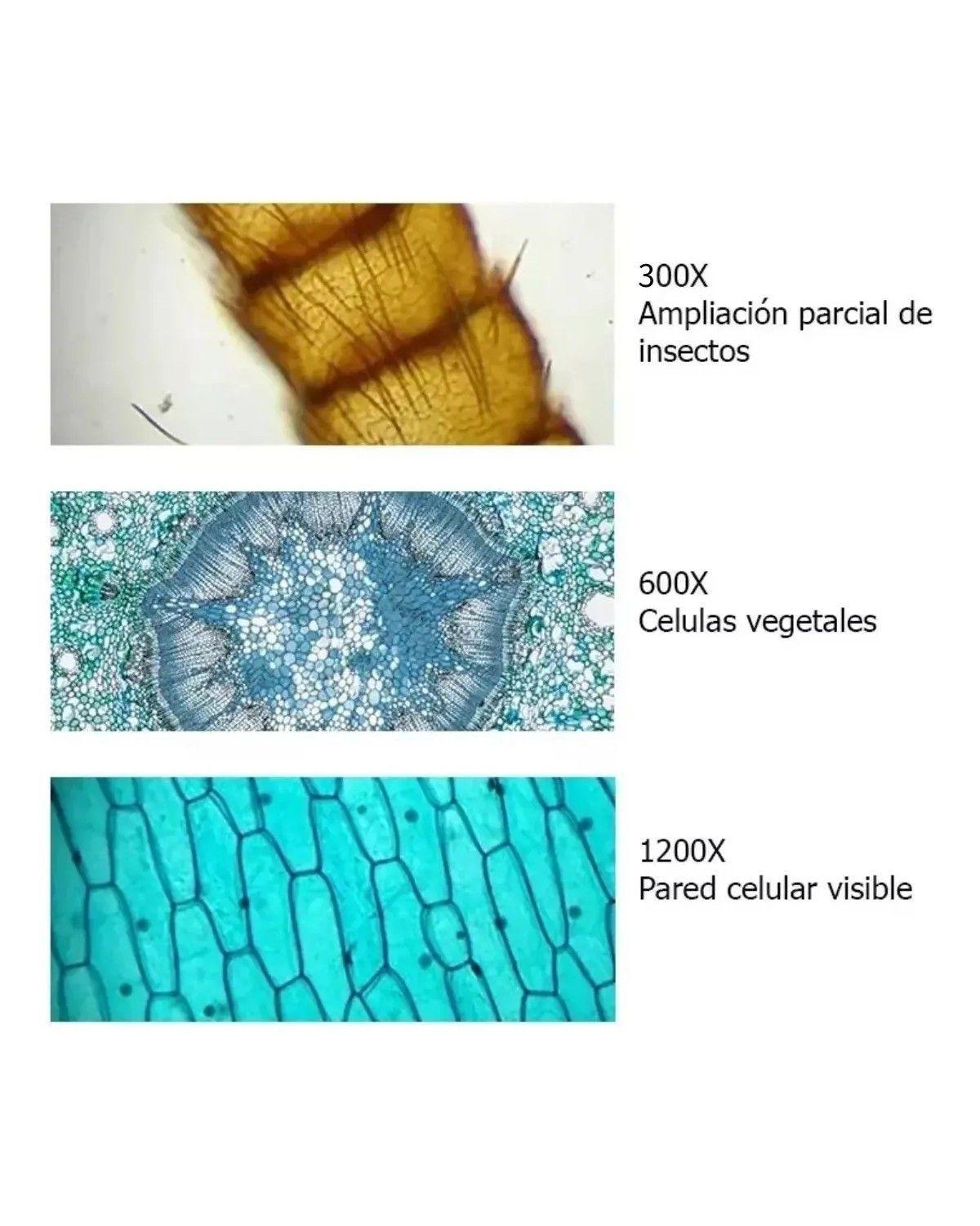 Microscopio + Kit De Accesorios 1200x Maletin Plastico Blanco-3