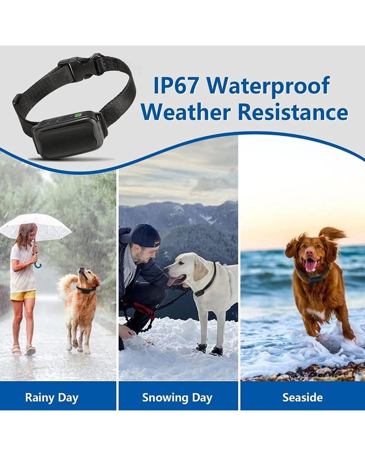 Collar Eléctrico Antiladridos Para Perro Mascotas Color Negro-4