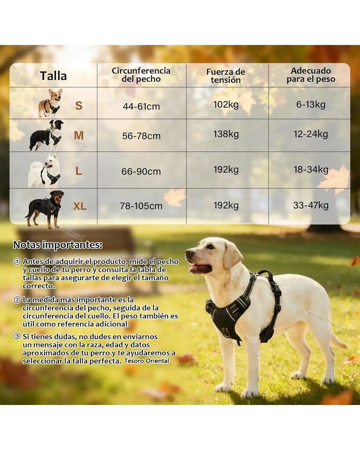 Pechera Para Perro Arnés Ajustable Reflectantes Con Correas-1