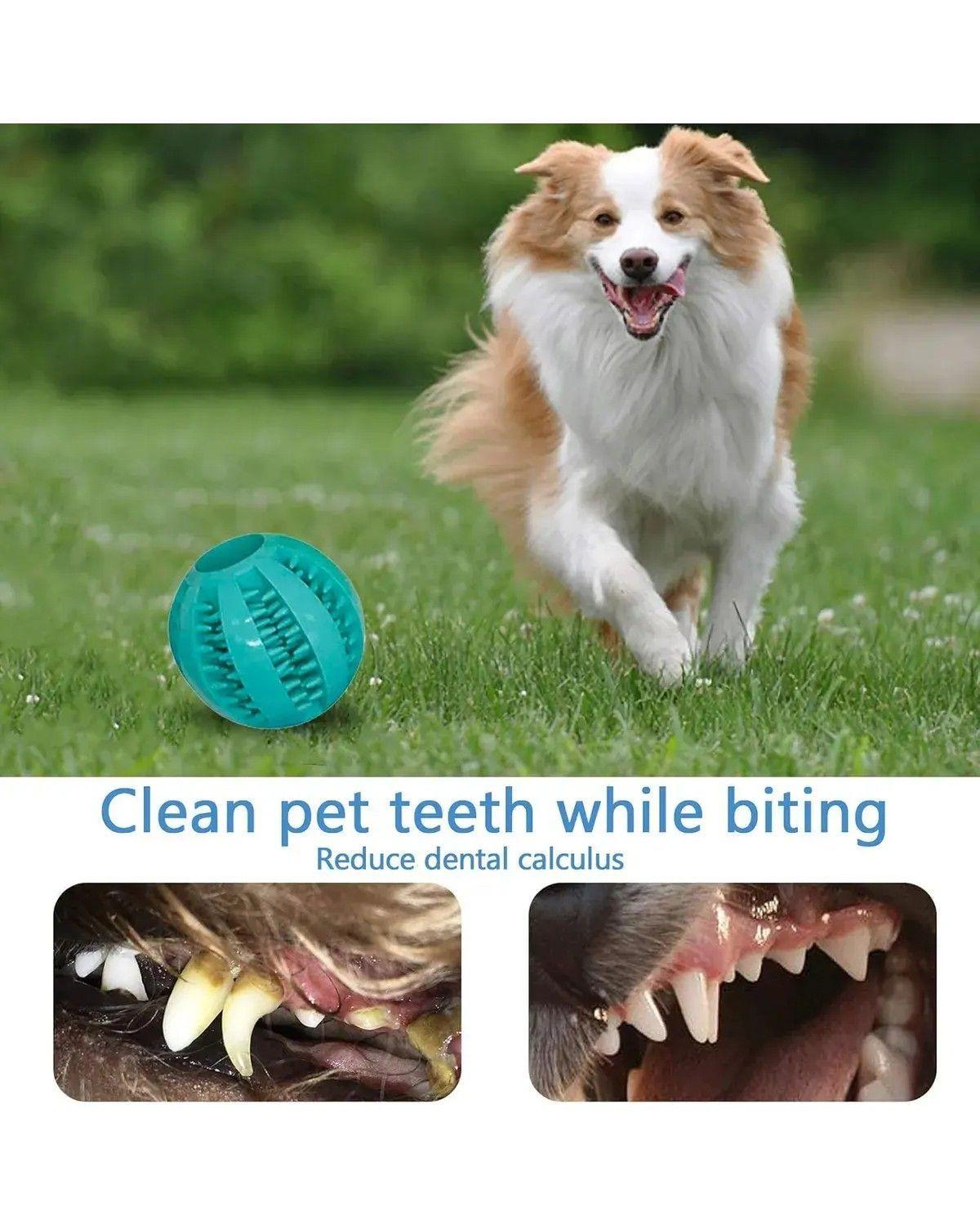 Juguetes Para Mascota 22 Mordedera Para Perro Ansiosos-3