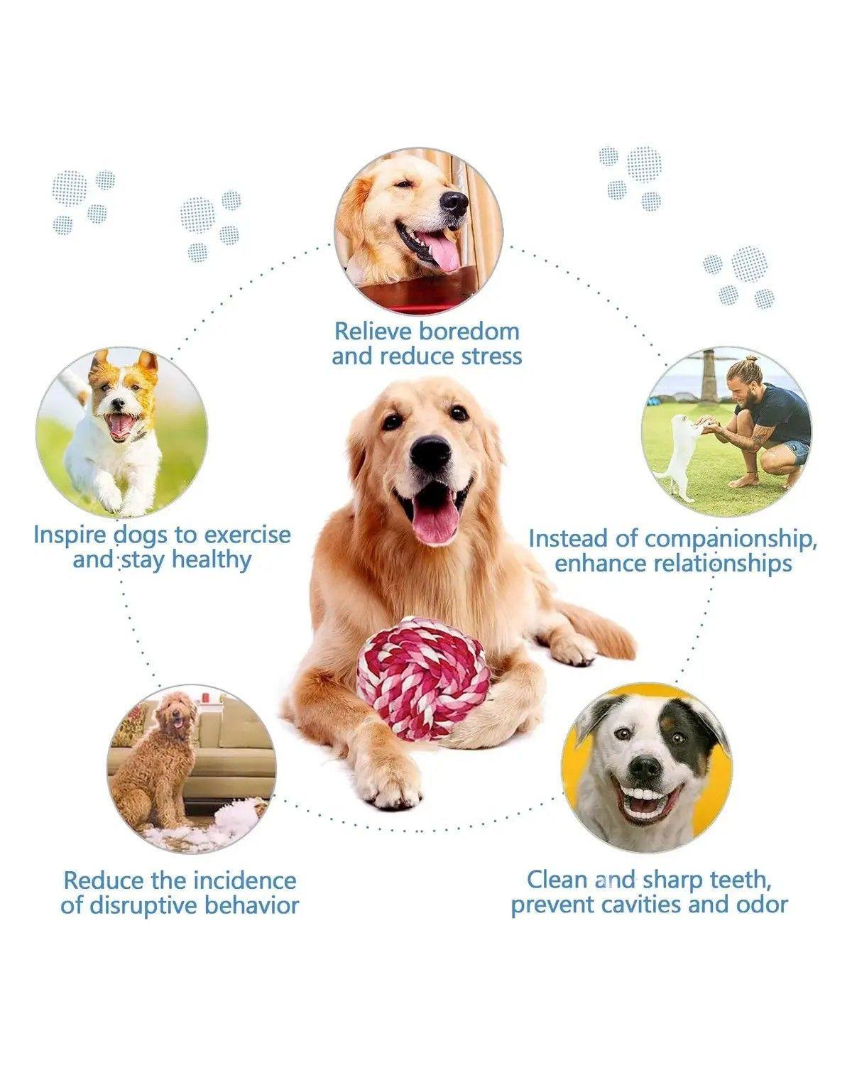 Juguetes Para Mascota 22 Mordedera Para Perro Ansiosos-4