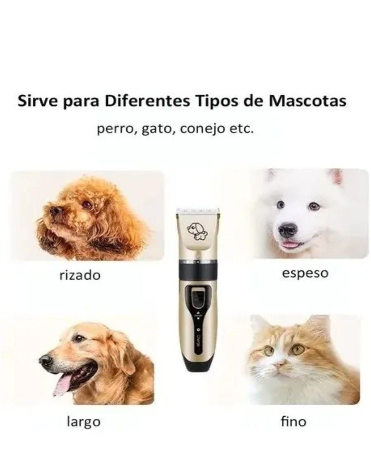Maquina Corta Pelo Perros Cortadora Usb con Accesorios Gatos-1