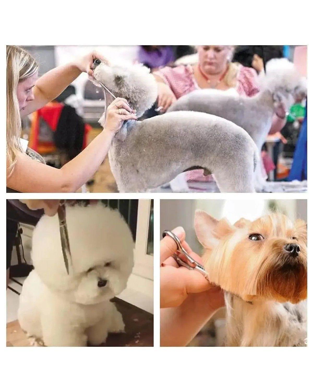Tijeras Para Cortar Pelo/tijeras Peluqueria Profesional-3