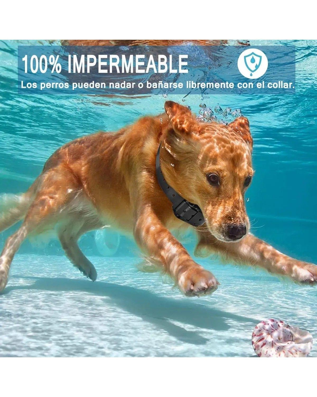 Collar De Choque Entrenamiento De Eléctrico Automático-2