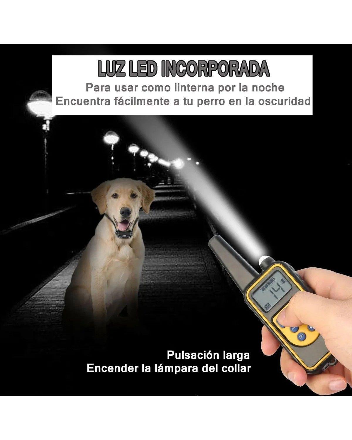 Collar De Choque Entrenamiento De Eléctrico Automático-3