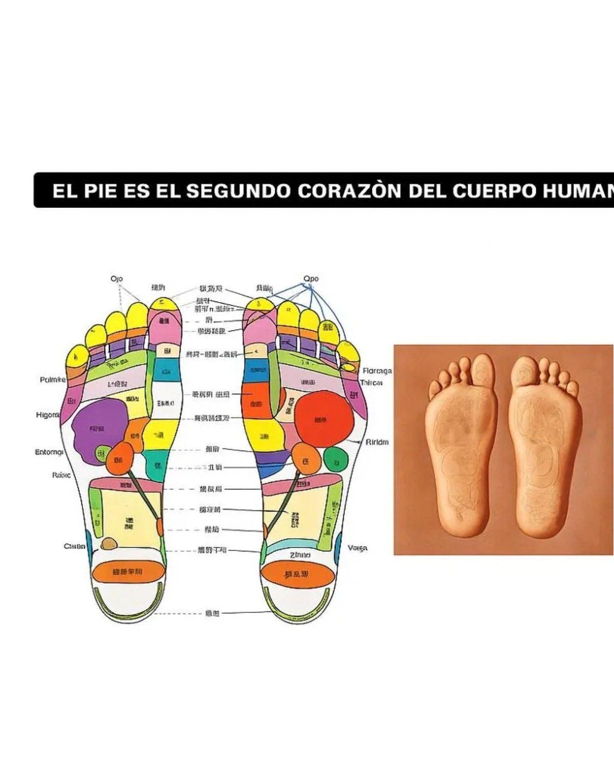 Masajeador De Pies Electrico Estimulador Muscular Portatil-2