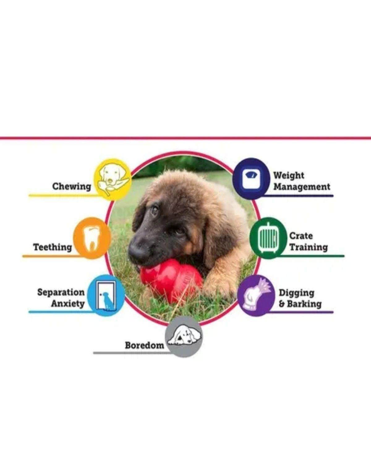 Pelota Grande Reforzada Para Perro Corestrength Verde Aqua 8cm-2