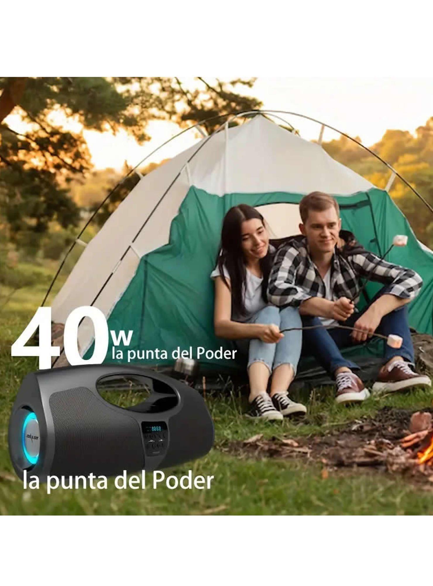 Zealot P1 Parlante Profesional compacto Karaoke 20 horas-2