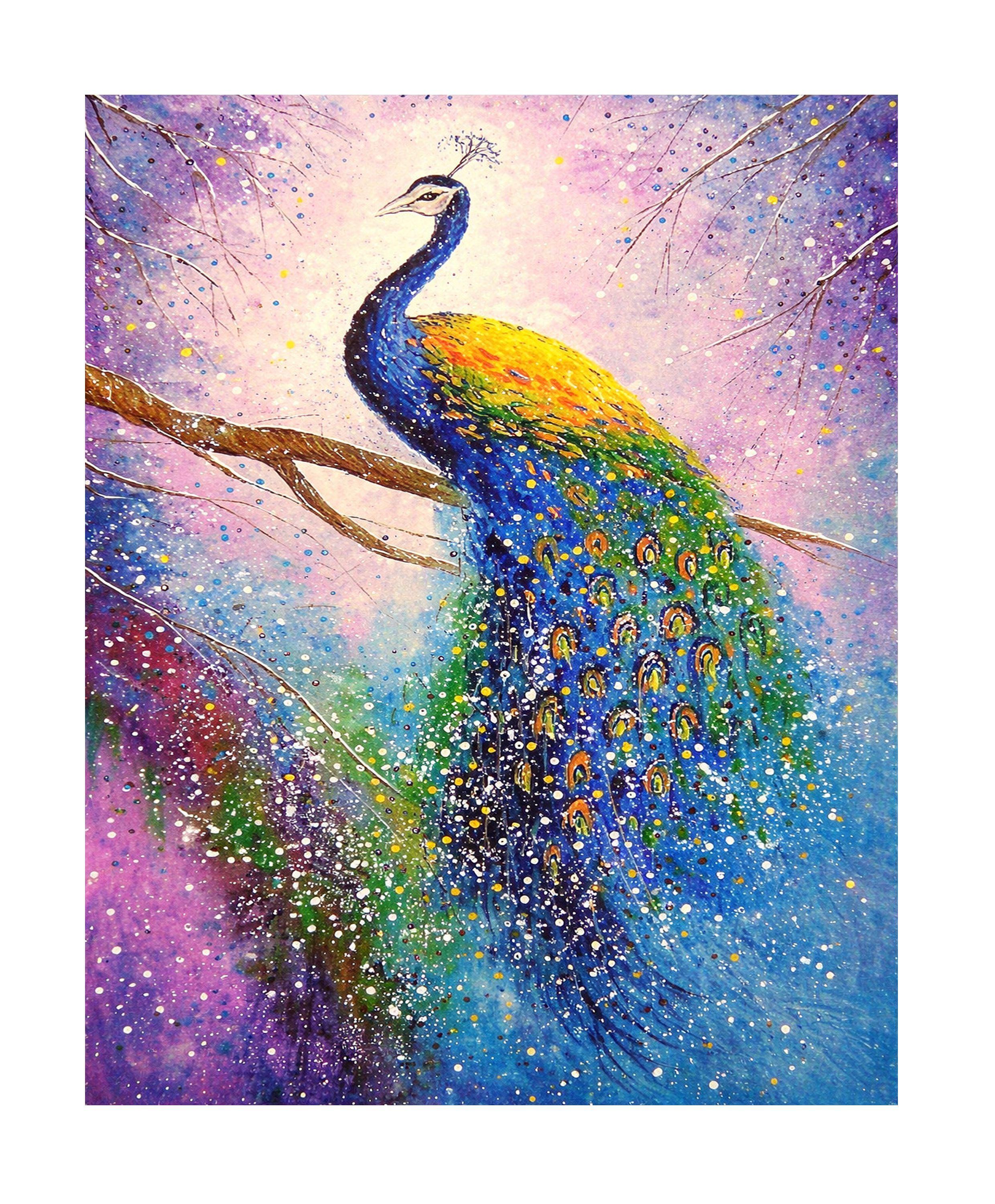 KIT PINTA  CON NÚMEROS- Pavo Real-2