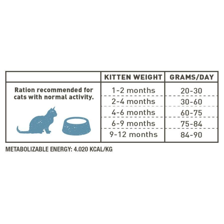 Bravery Chicken Gatito 2 KG-1