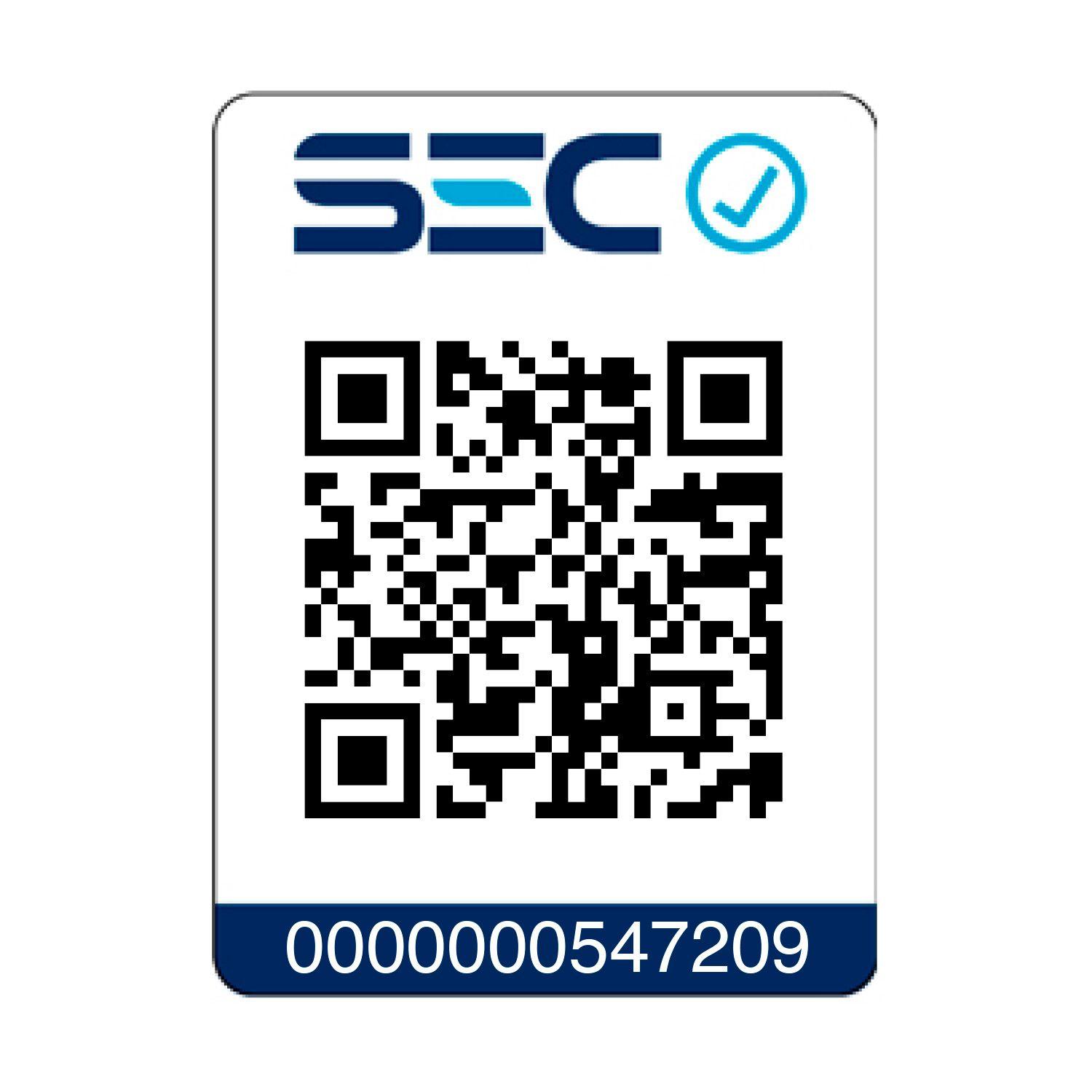 Secador Smart Dryer 3 en 1 SG-B3160-6
