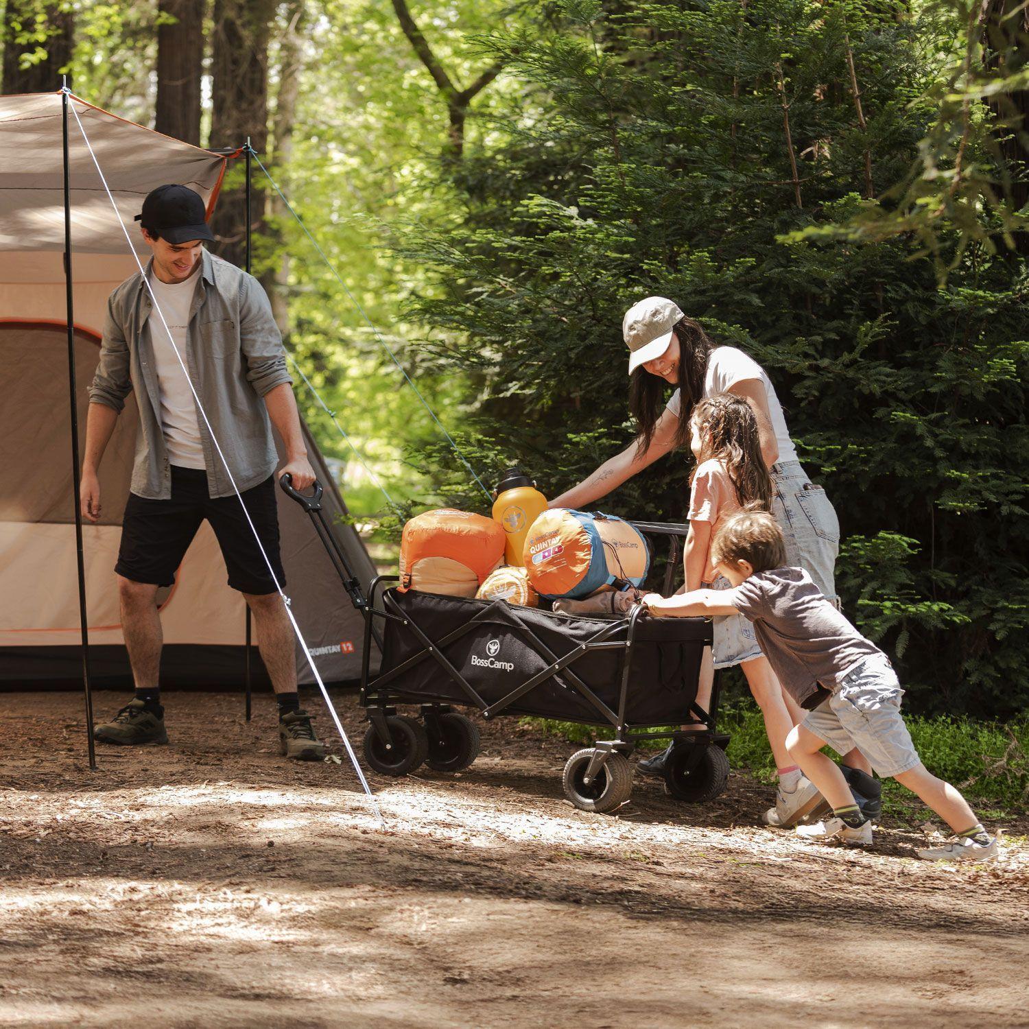 Carro Transporte Plegable Quintay BossCamp-7