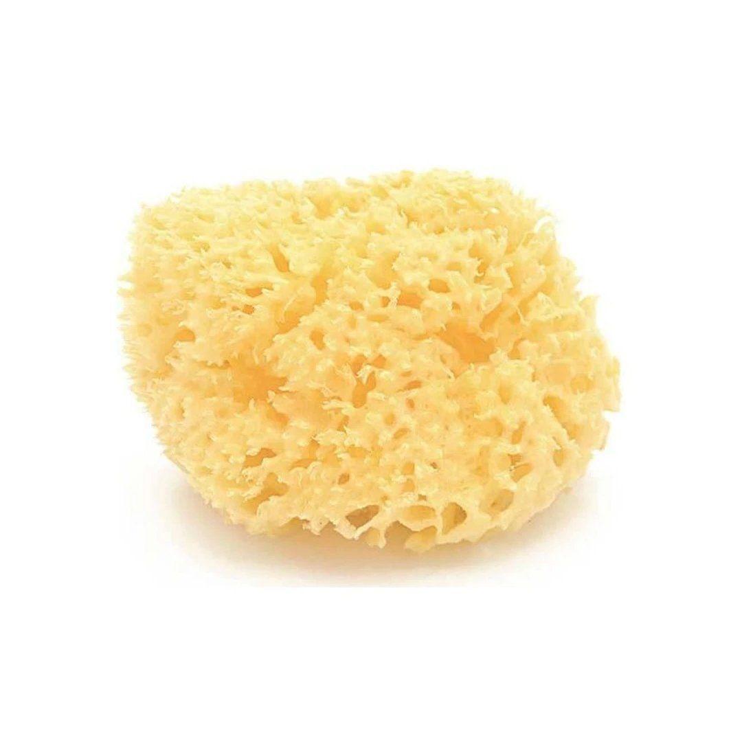 Esponja Natural de Mar Honeycomb 12 cm-0