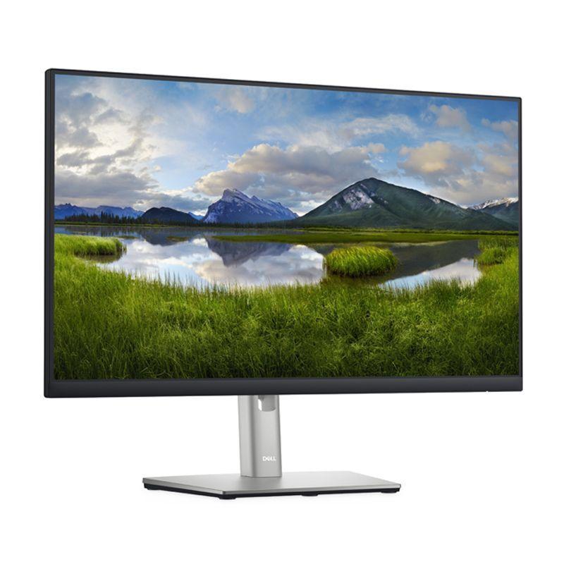 Monitor Dell P2422H de 23.8" (IPS, Full HD, DP+HDMI+VGA, Vesa)-0
