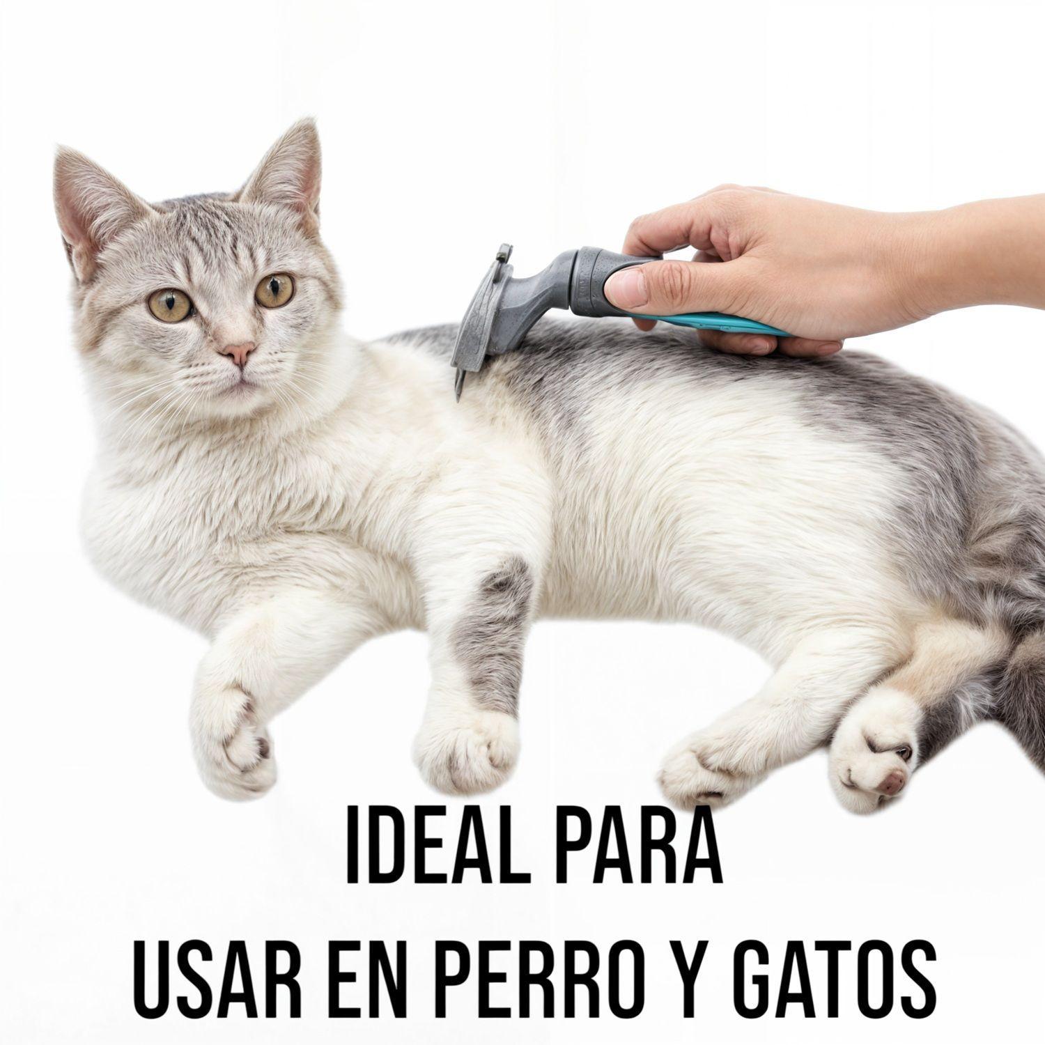 Cepillo para perros cepillo deslanador para perros peine perro-4