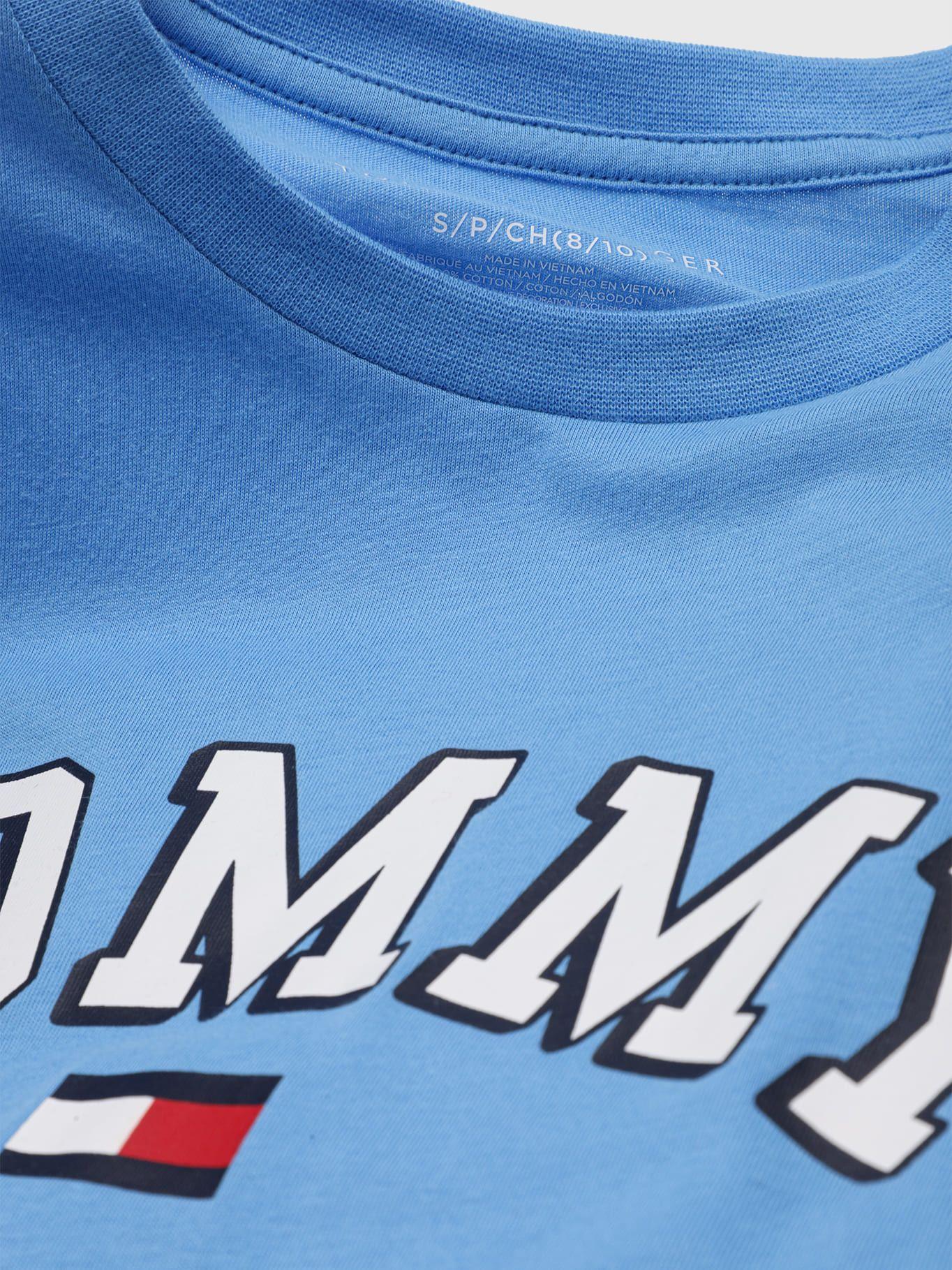 Polera Con Logo Circular Celeste Tommy Hilfiger-2