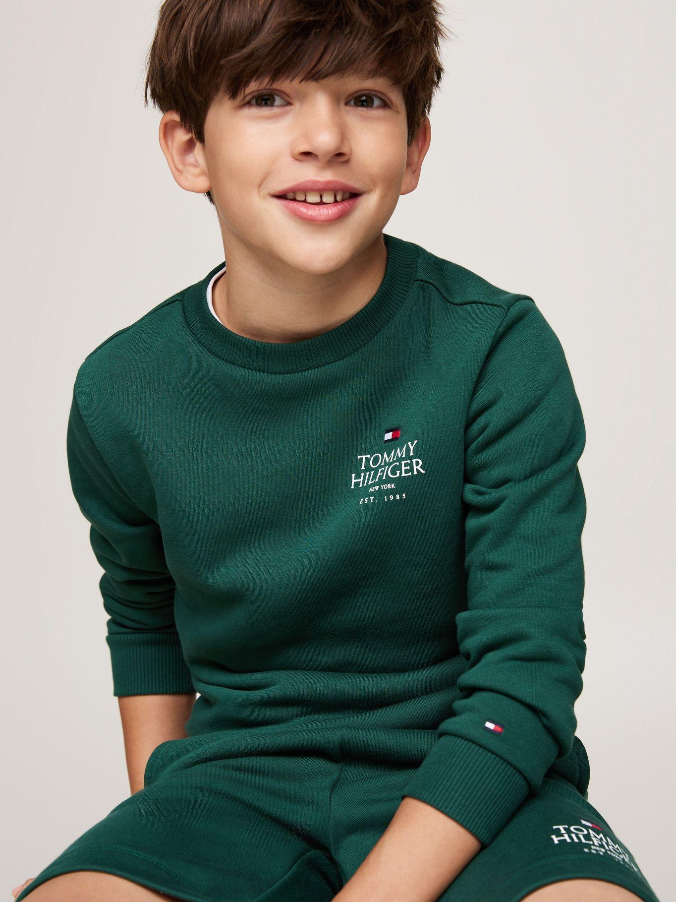 Polerón De Niño Con Logo Verde Tommy Hilfiger-3