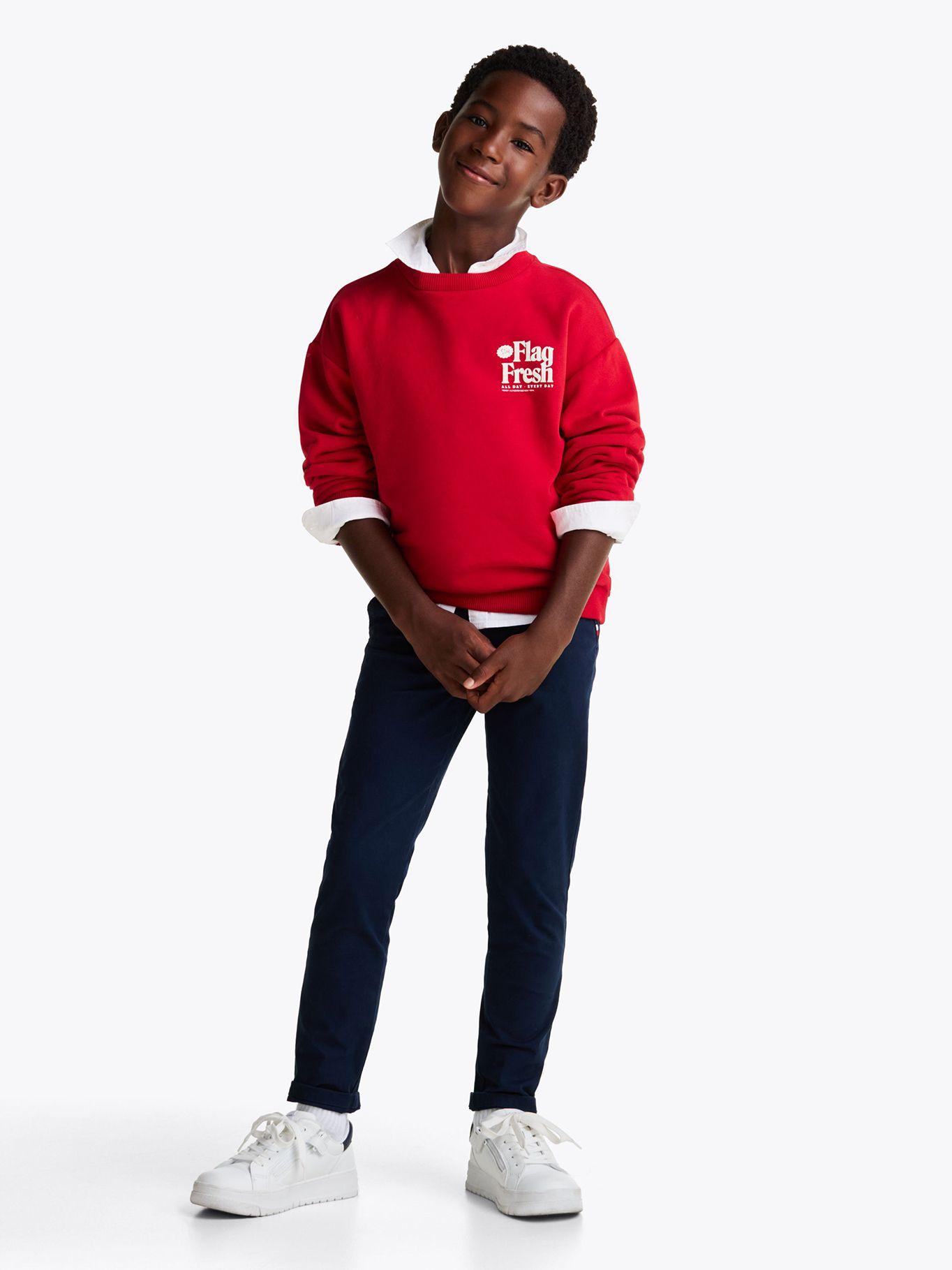 Polerón Fun Flag Logo Rojo Tommy Hilfiger-1