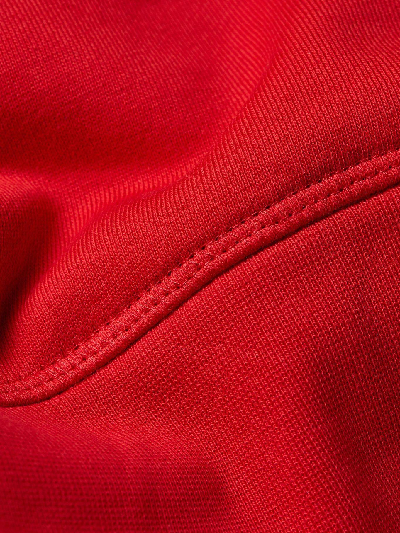 Polerón Hoodie Four Flags Rojo Tommy Hilfiger-2