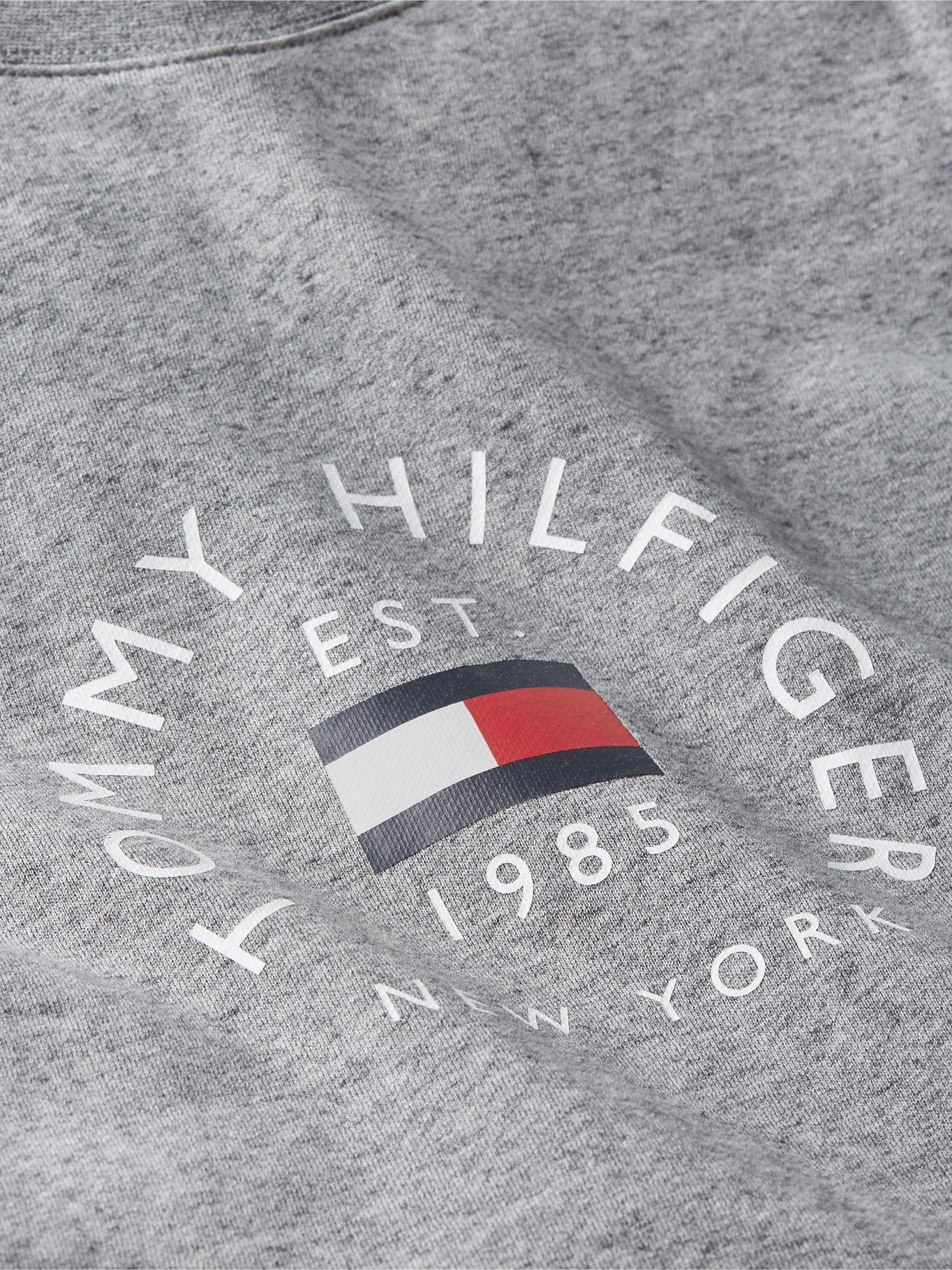 Polerón Flag Arch Logo Gris Tommy Hilfiger-3