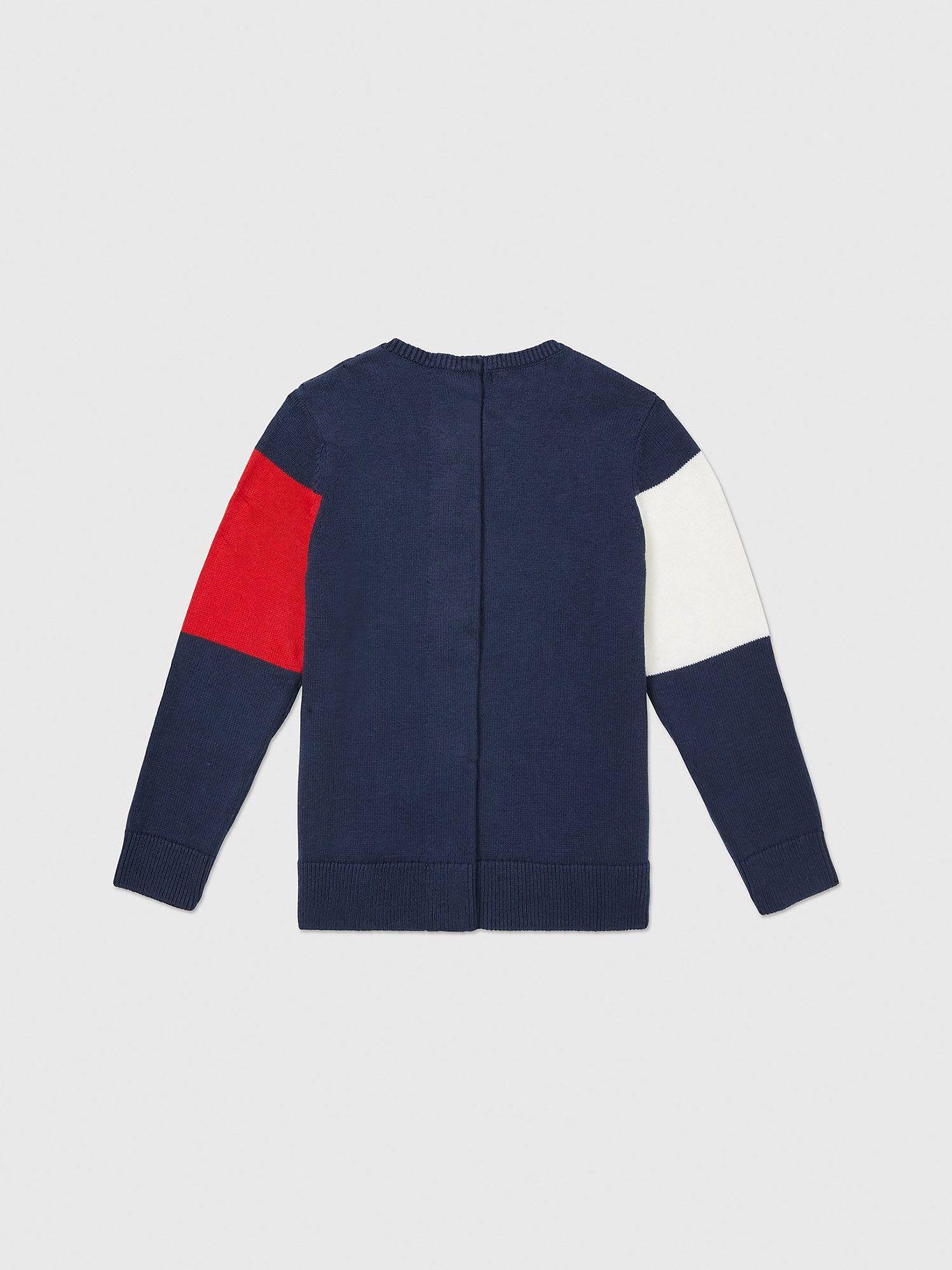 Sweater Adaptive Logo Bandera Azul Tommy Hilfiger-1