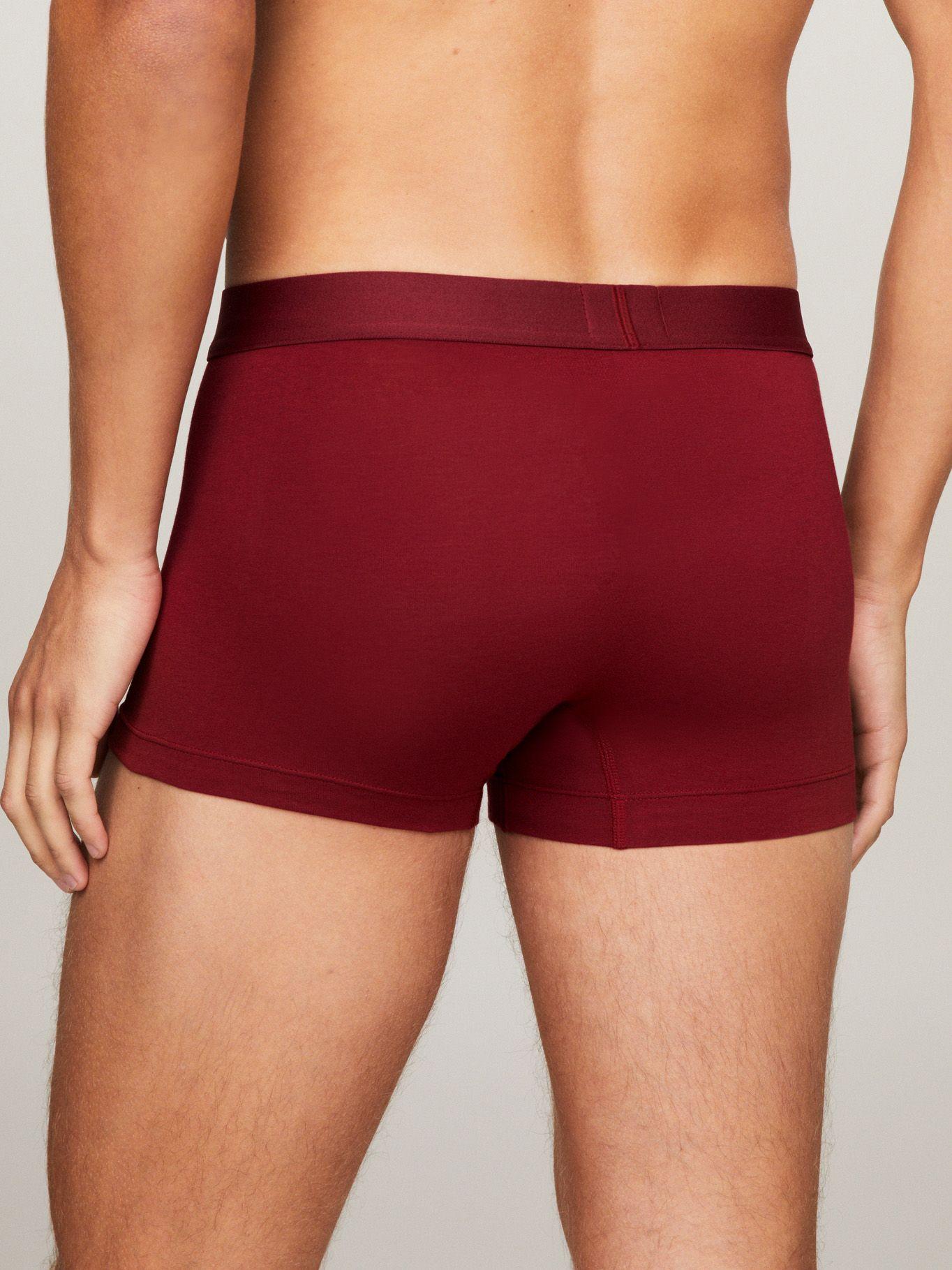 Pack3 Calzoncillo Trunk Multicolor Tommy Hilfiger-3
