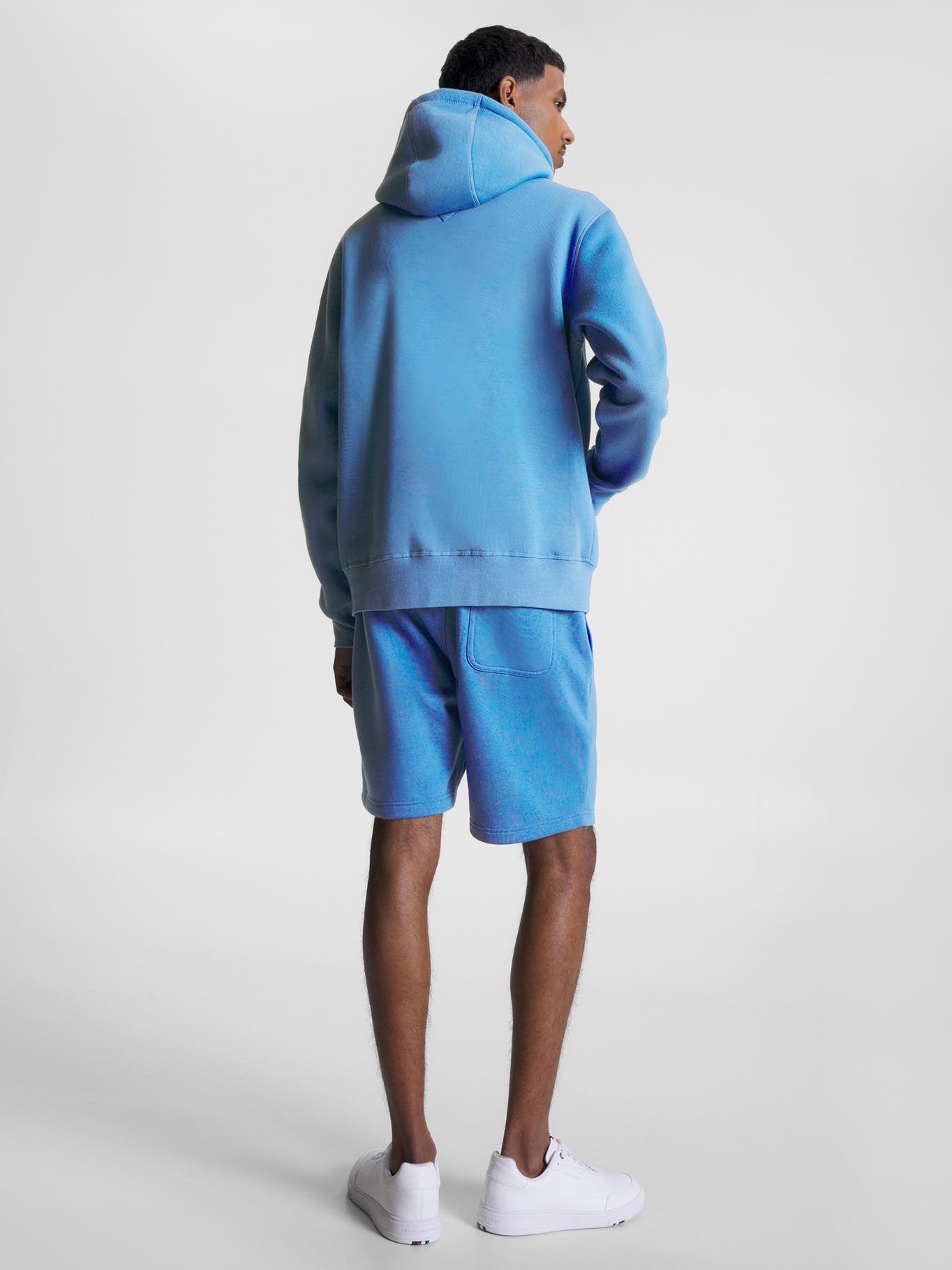 Polerón Hoodie 1985 Established -Celeste Tommy Hilfiger-2