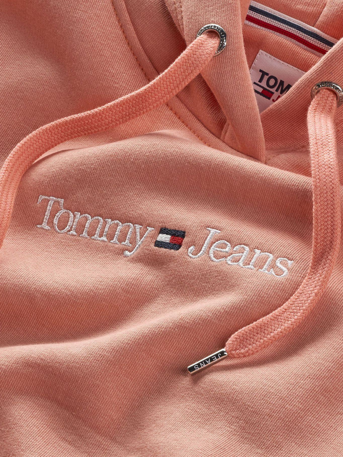 Polerón Regular Serif Linear Logo Damasco Tommy Jeans-2