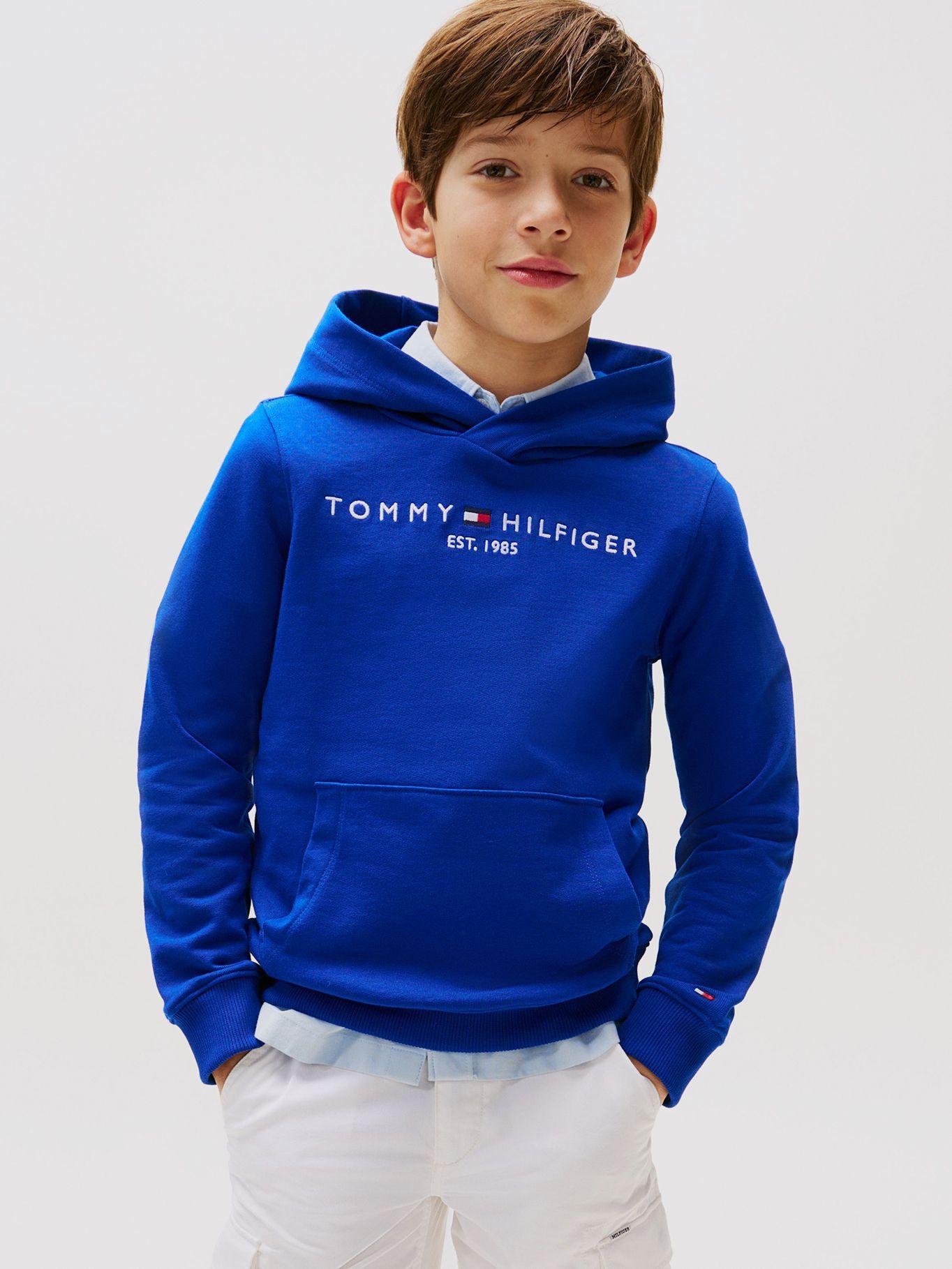 Polerón Logo Bordado Essential Azul Tommy Hilfiger-0
