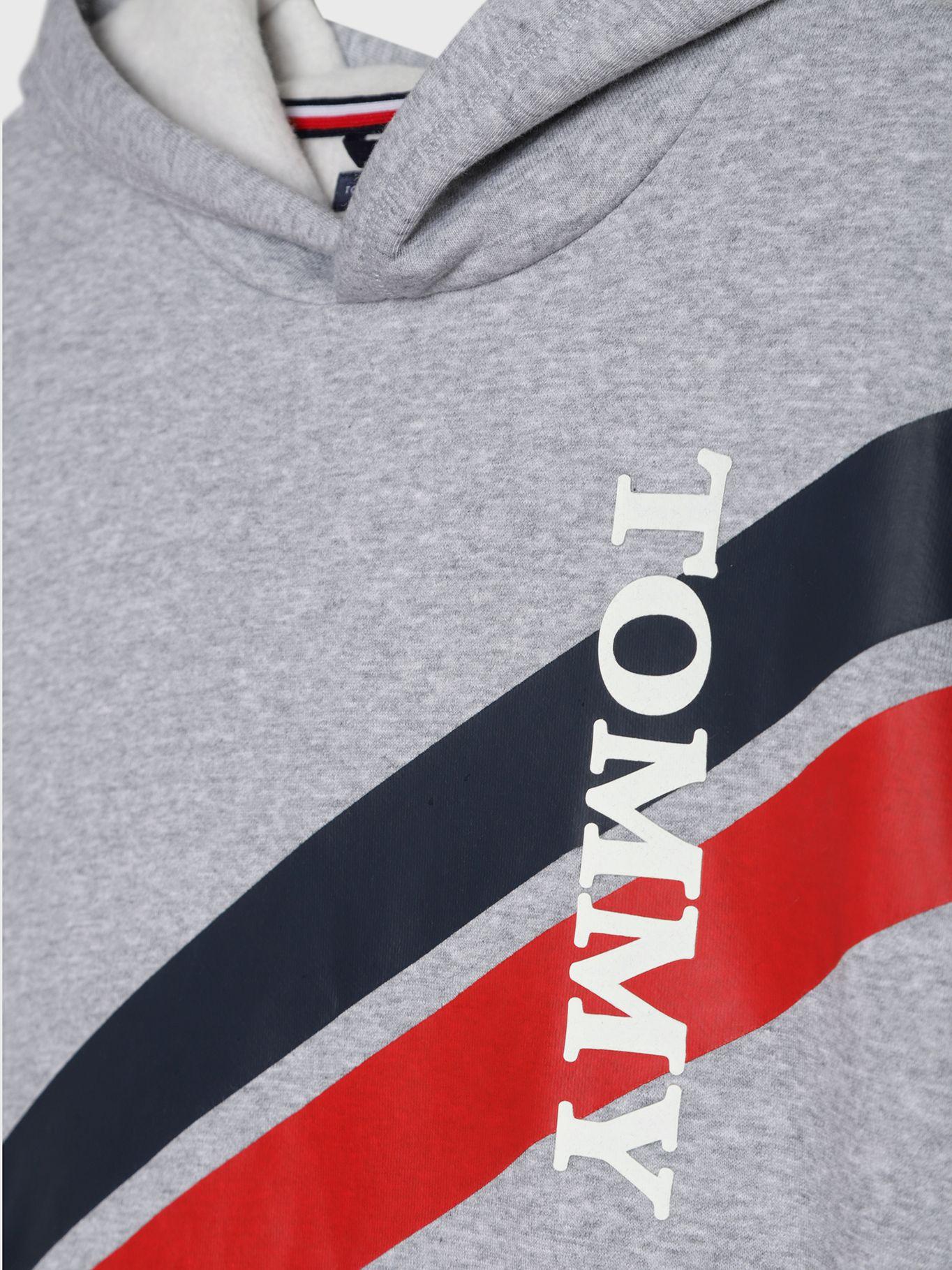 Poleron Con Gorro Y Logo Vertical Gris Tommy Hilfiger-2