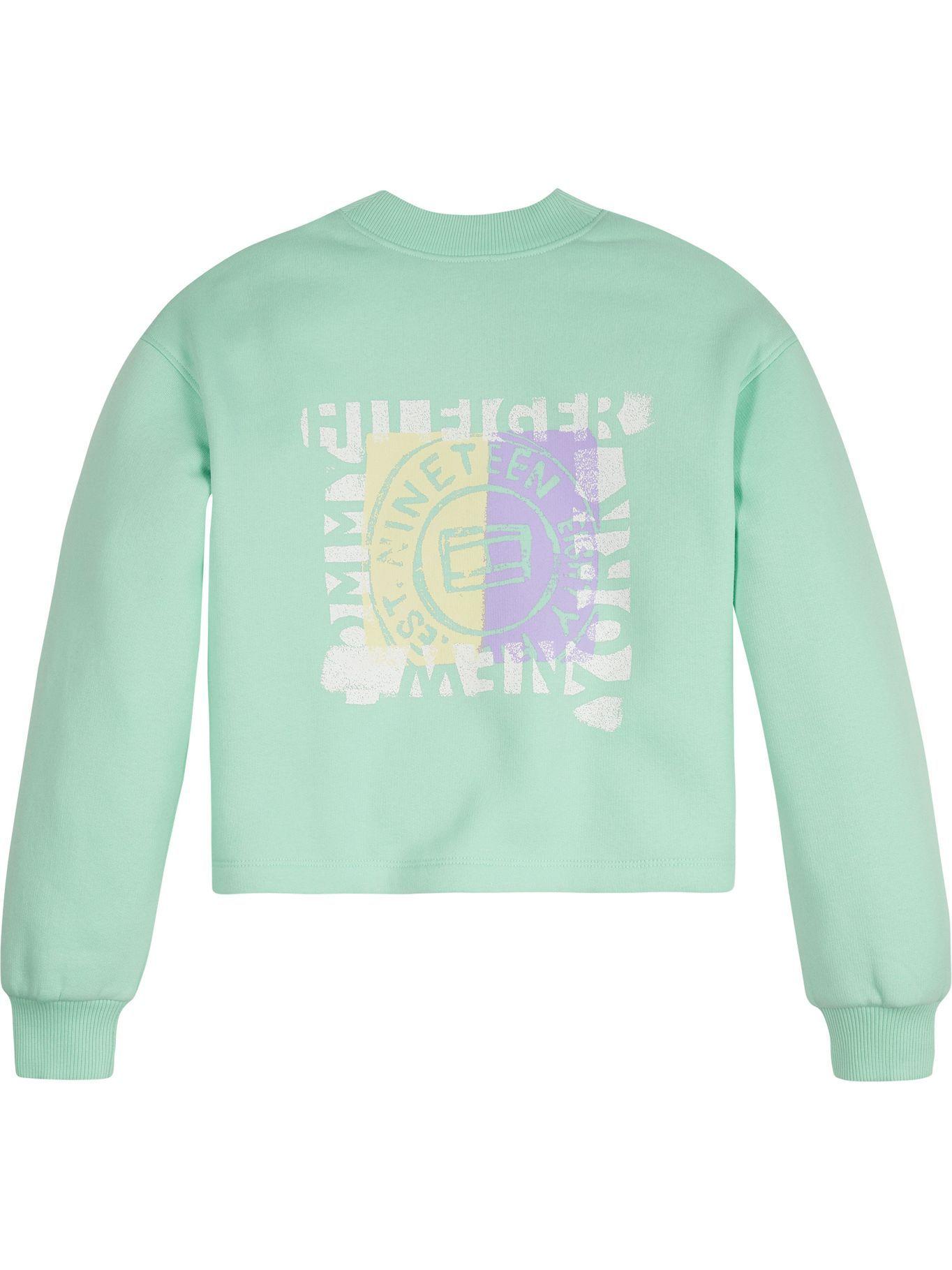 Polerón Overprint Logo Verde Tommy Hilfiger A2-1